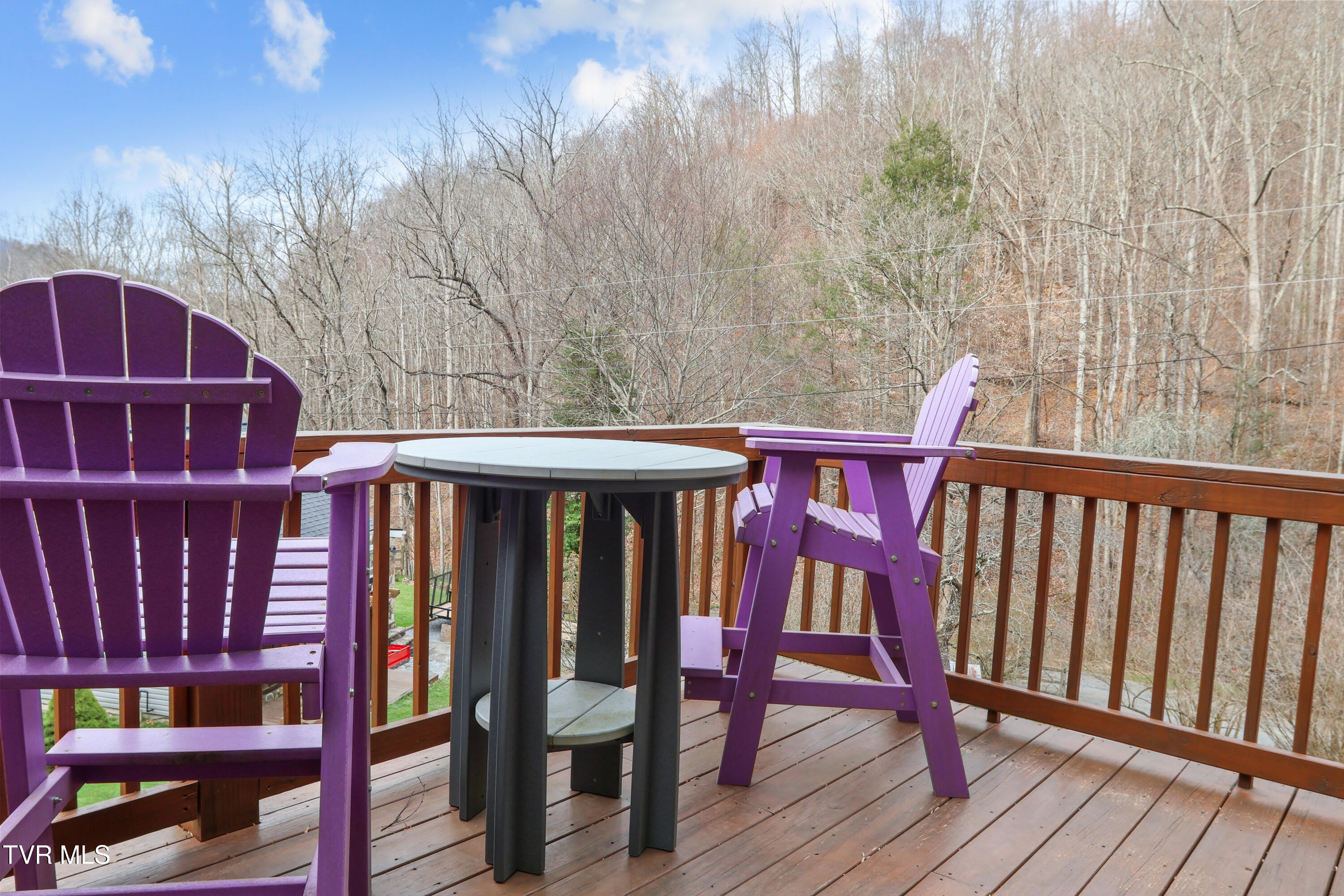 150 Rice Road, Unit TR 1 Flag Pond, TN 37657 - Photo 26 of 80 03Second Floor-14