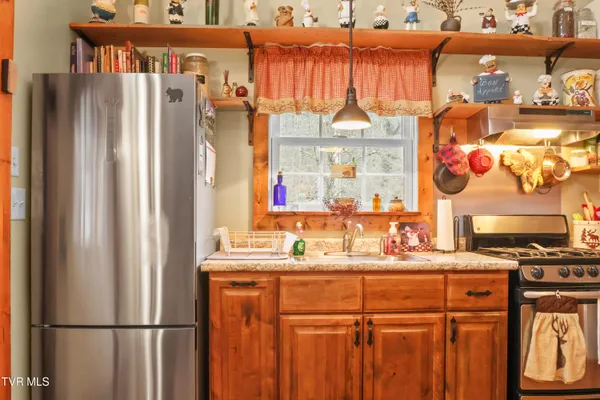 $890,000 | 150 Rice Road, Unit TR 1, Flag Pond, TN 37657