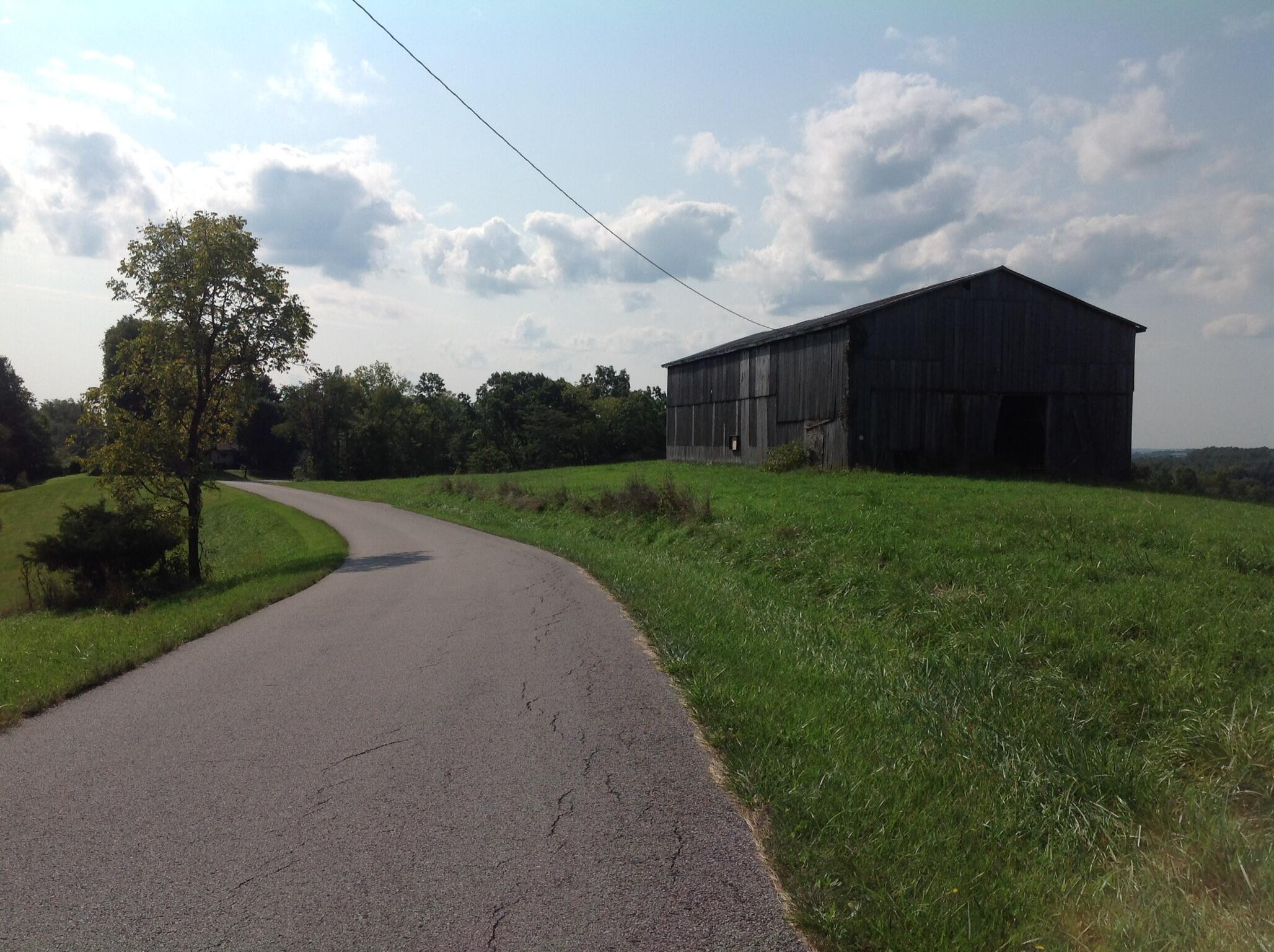 698 Ogden Ridge Road Mount Olivet, KY 41064 - Photo 2 of 12 Gallery Image 2