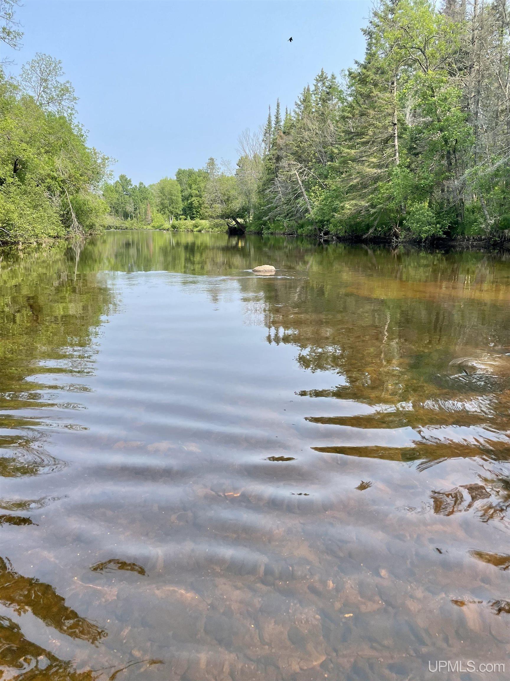 Nine Rd Felch Mi 49831 Road Felch, MI 49831 - Photo 1 of 16