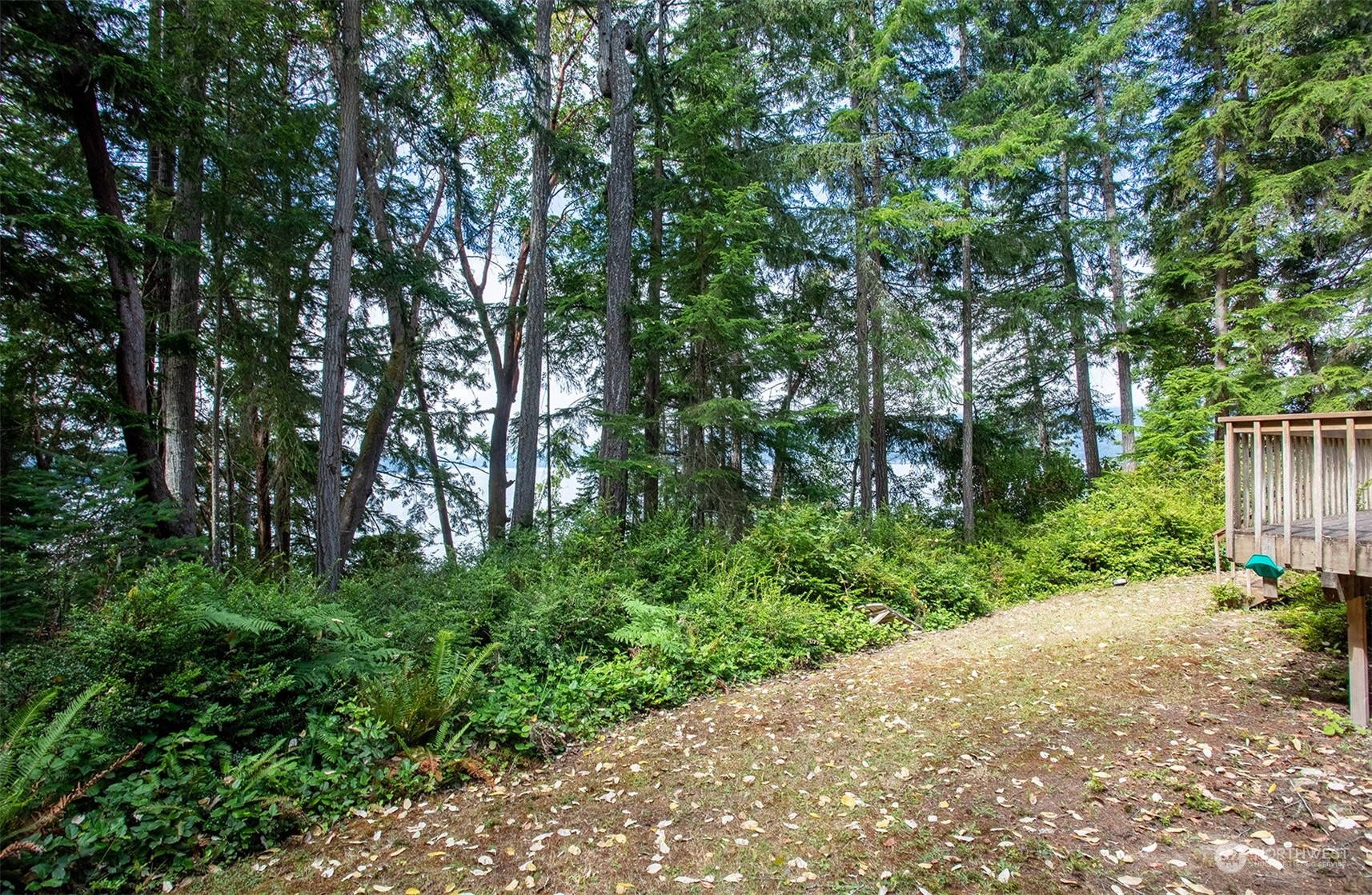 19934 Northwest Stavis Bay Road Seabeck, WA 98380 - Photo 12 of 39 Gallery Image 12