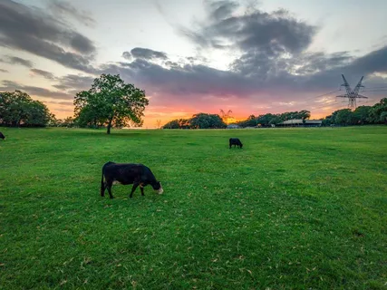 $1,450,000 | 141 County Road 4793, Boyd, TX 76023