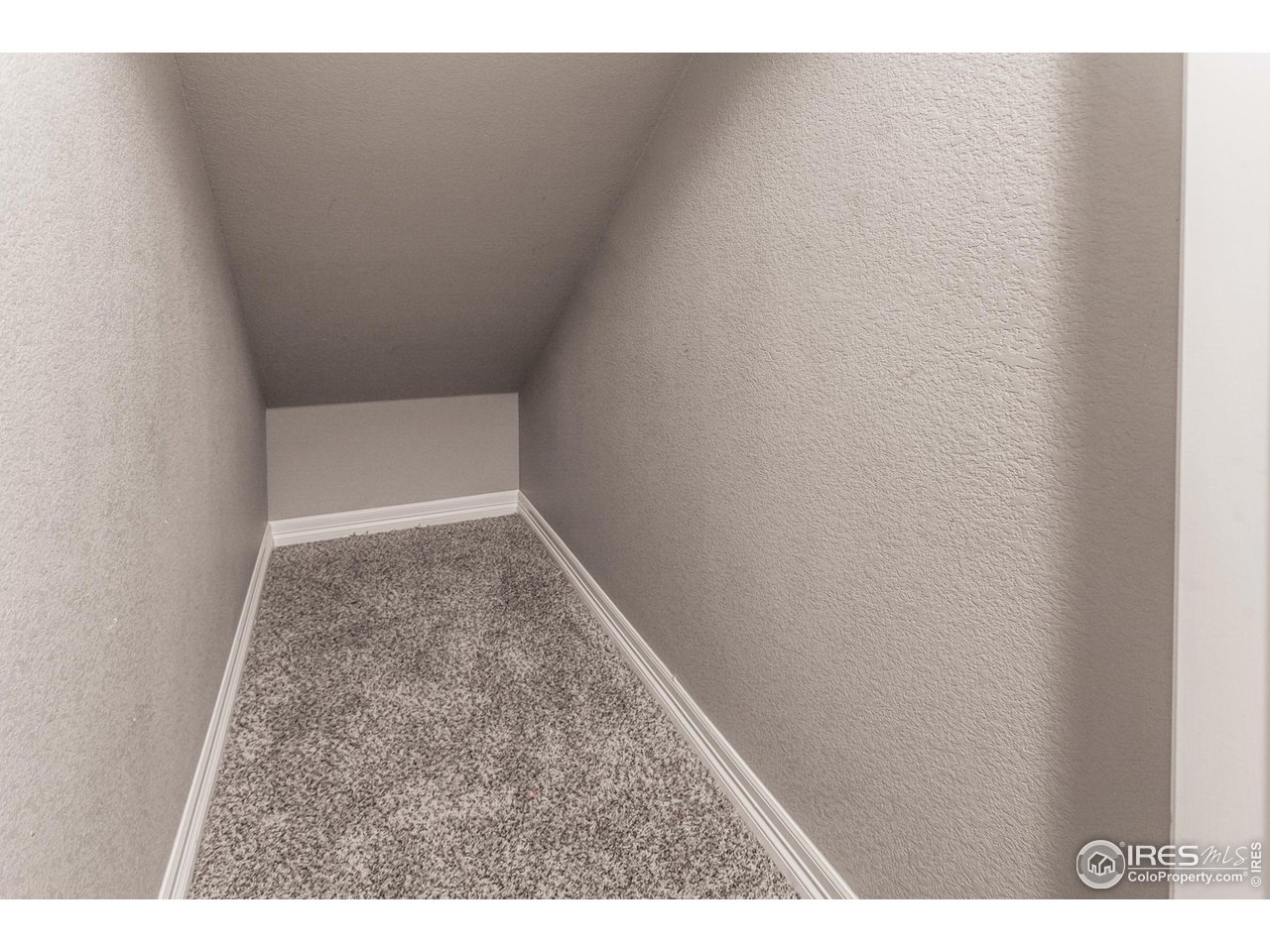 1297 Wild Basin Road Severance, CO 80550 - Photo 33 of 44