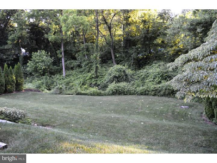 21 Fremont Road Newark, DE 19711 - Photo 20 of 21 View in Back