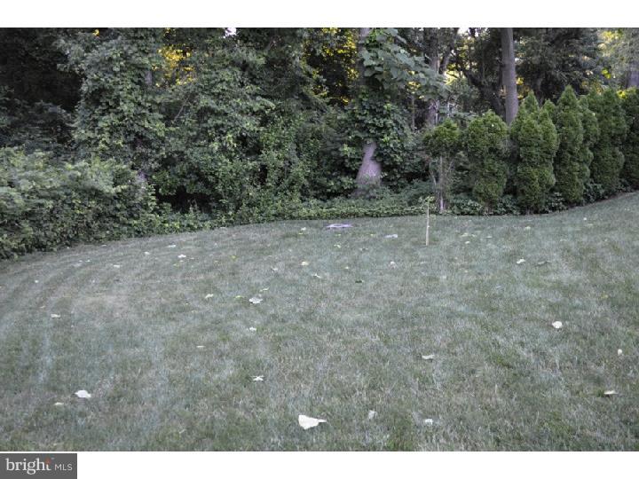 21 Fremont Road Newark, DE 19711 - Photo 21 of 21 View in Back