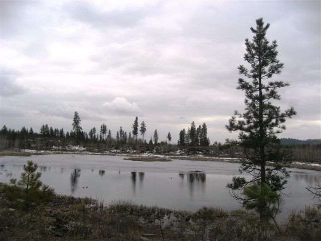 11626 South Scribner Road Cheney, WA 99004 - Photo 9 of 9