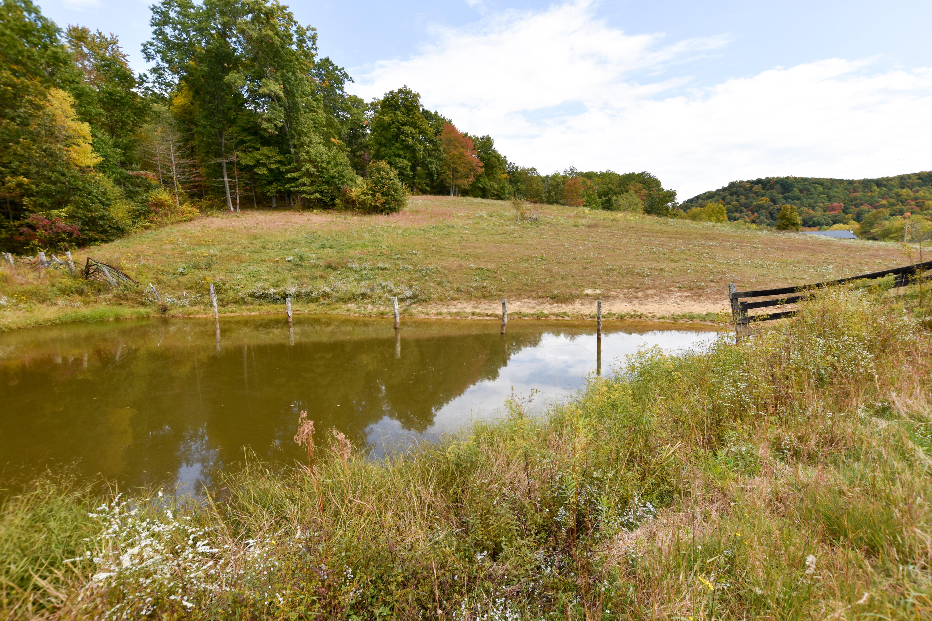 2390 Beechy Creek Road Wallingford, KY 41093 - Photo 77 of 89 DSC_0139