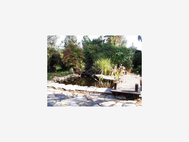 40 Lone Tree Road Hollister, CA 95023 - Photo 5 of 8 Gallery Image 5