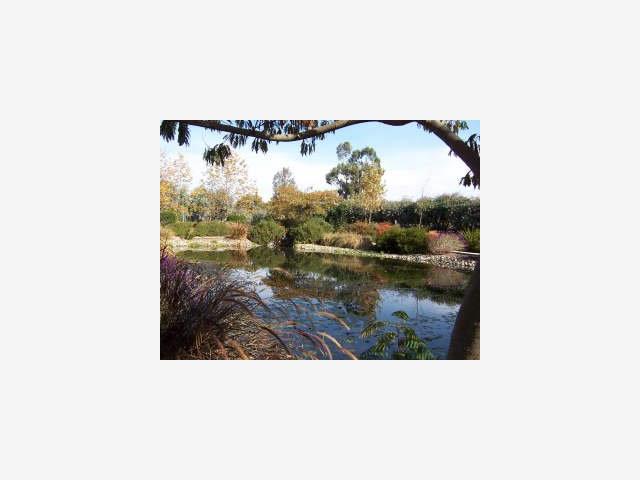 40 Lone Tree Road Hollister, CA 95023 - Photo 6 of 8 Gallery Image 6