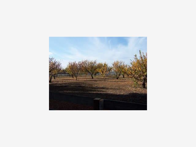40 Lone Tree Road Hollister, CA 95023 - Photo 7 of 8 Gallery Image 7