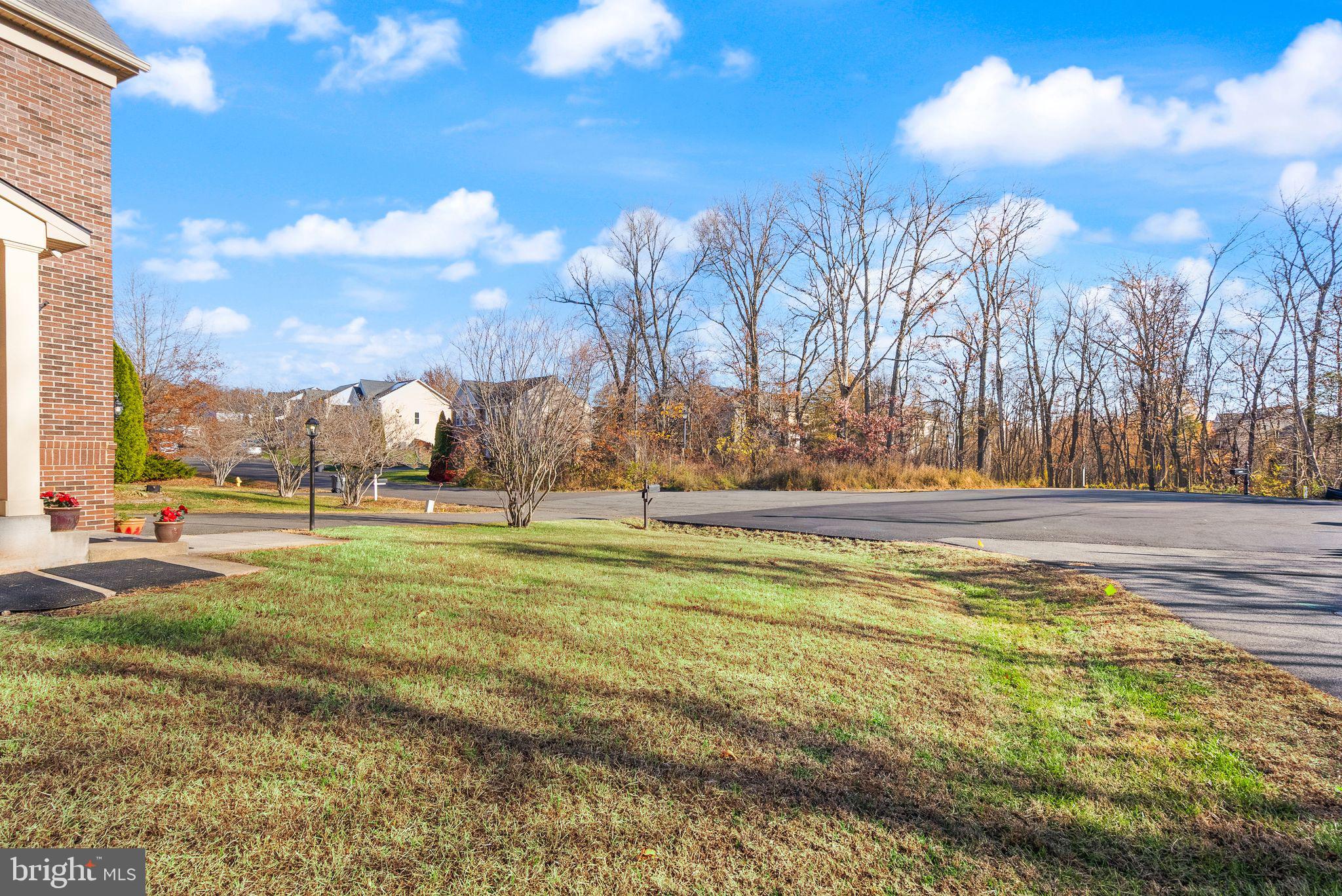 7722 Yalta Way Gainesville, VA 20155 - Photo 9 of 75 a view of a yard with large trees