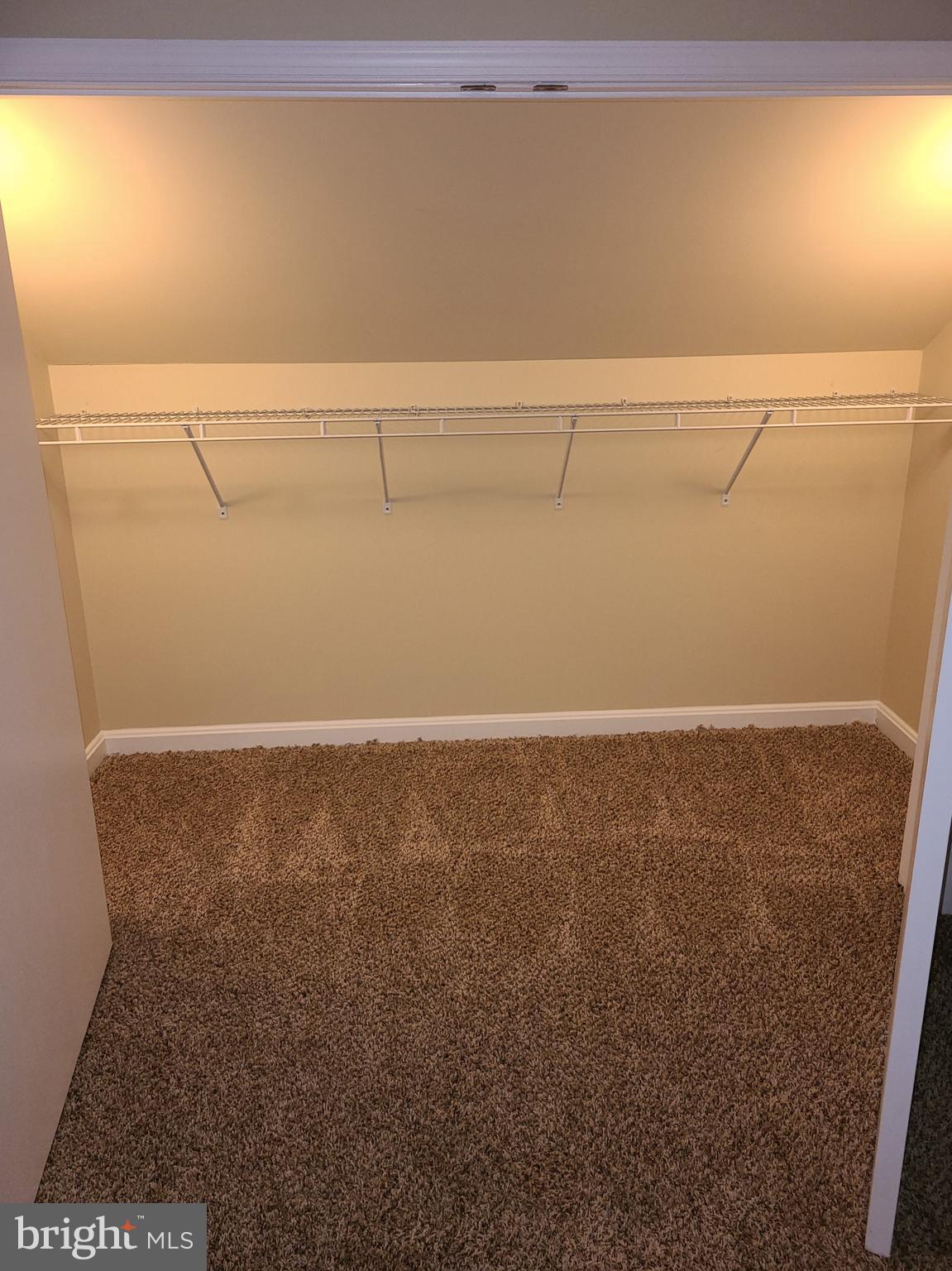 4217 Thorncliff Road Baltimore, MD 21236 - Photo 24 of 35 Primary bedroom double closet
