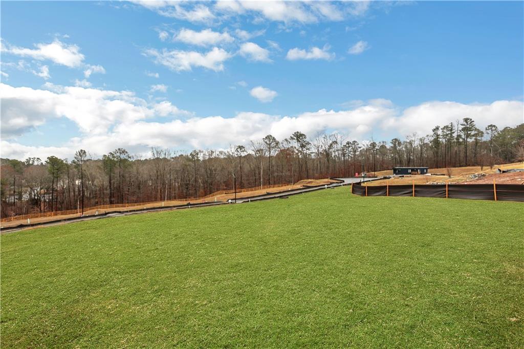 164 Henley Street Canton, GA 30114 - Photo 45 of 48