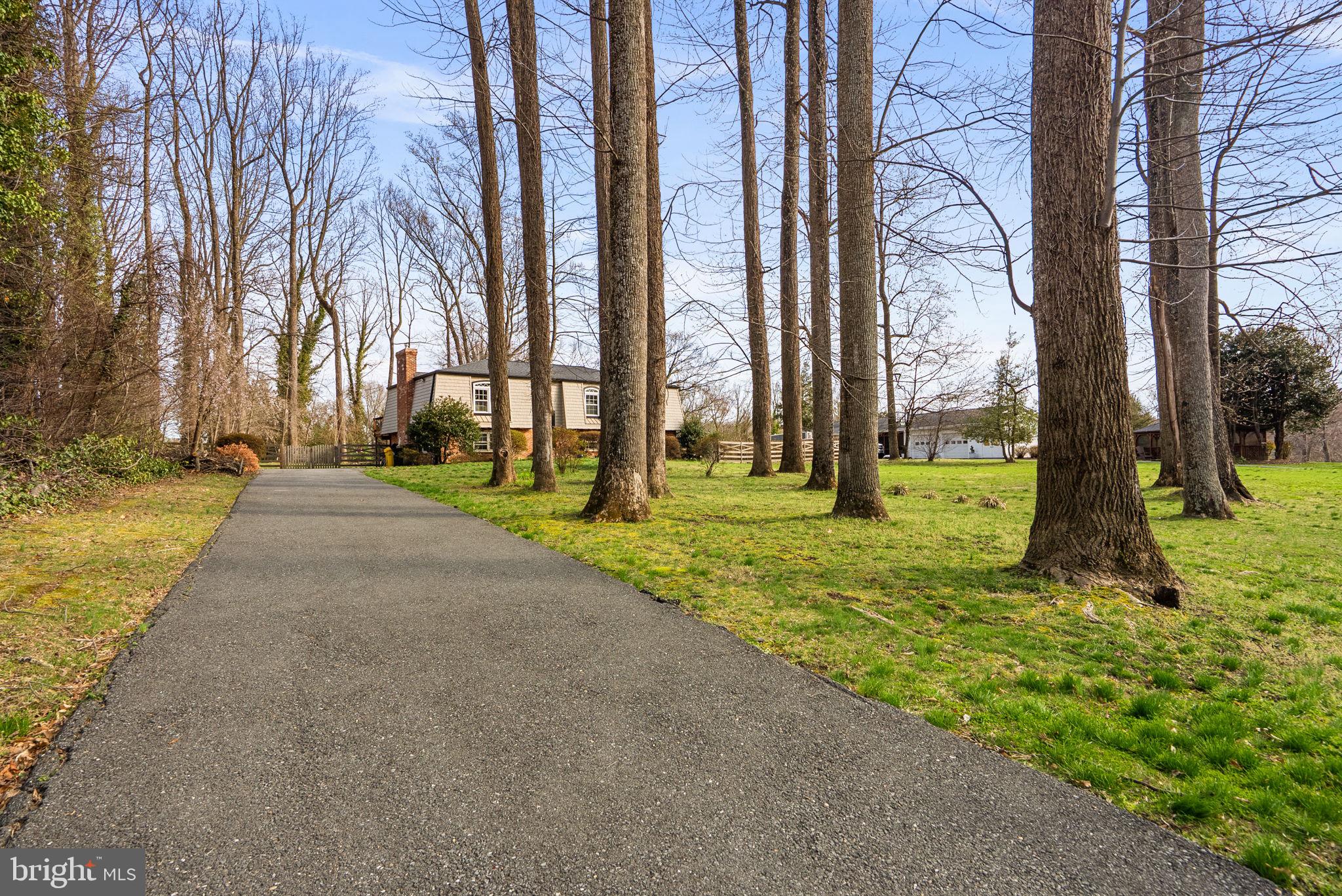 712 Petersburg Road Davidsonville, MD 21035 - Photo 37 of 37 a view of a yard with palm trees