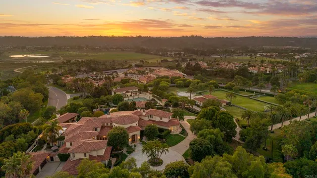 an aerial view of residential houses with outdoor space and trees