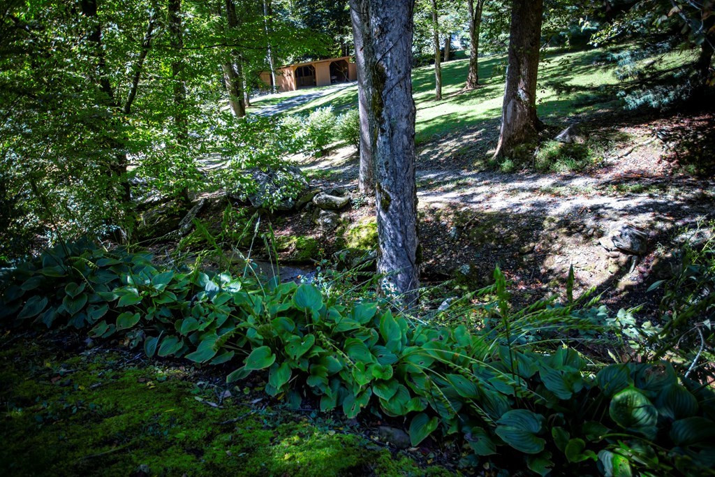 1620 East Buffalo Road Robbinsville, NC 28771 - Photo 37 of 40
