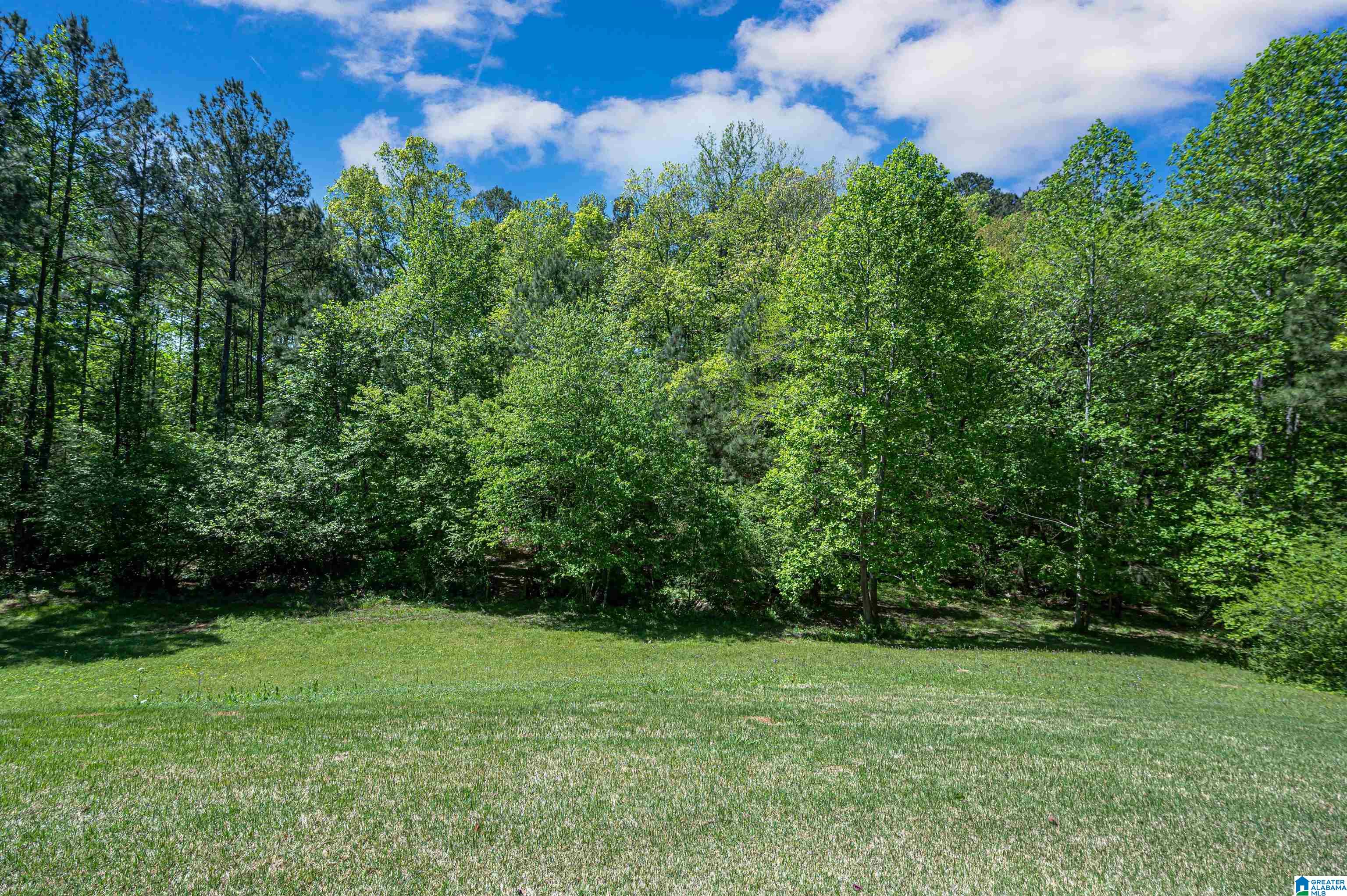 135 Wilson Road Chelsea, AL 35043 - Photo 45 of 75