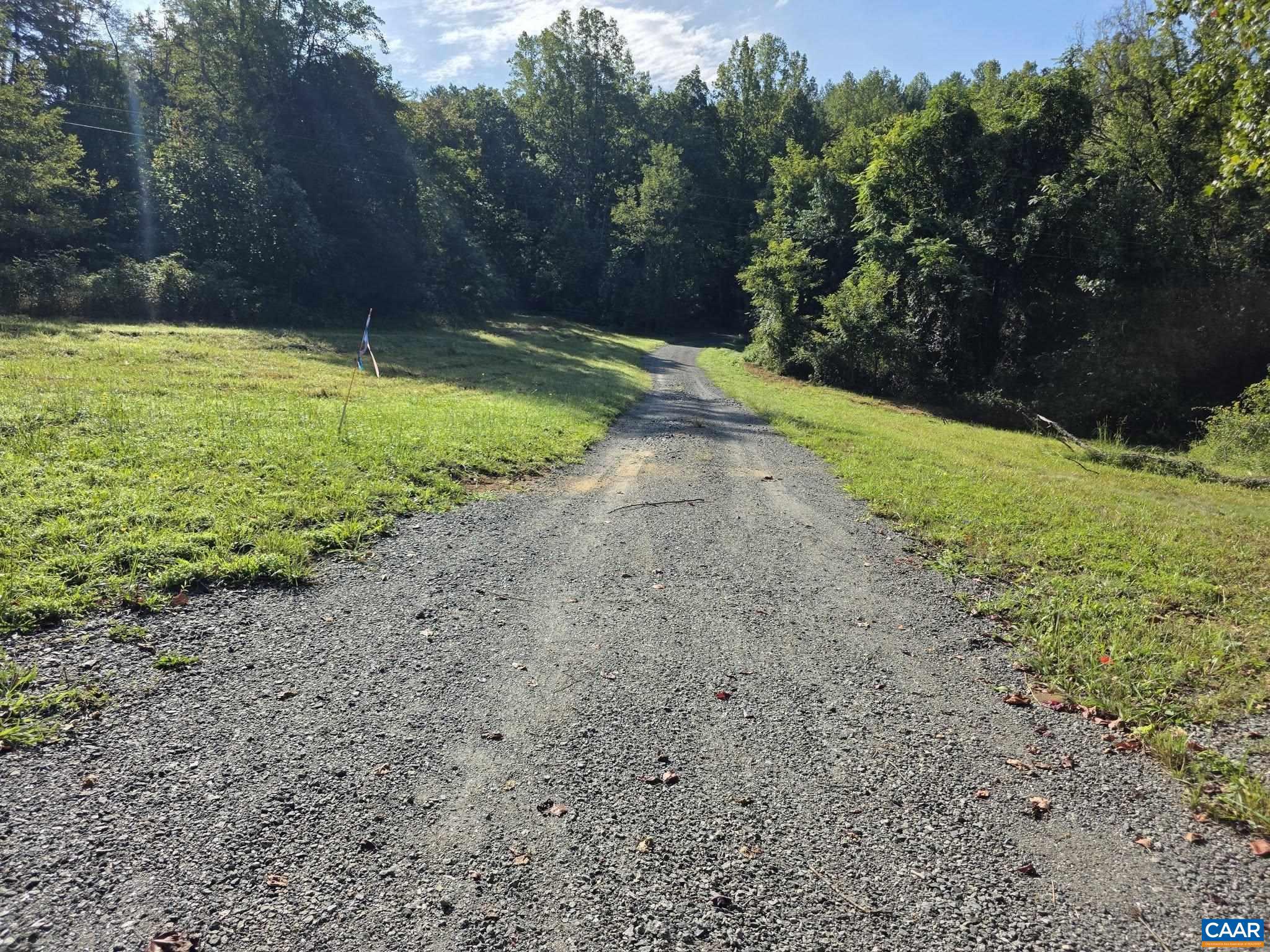 Tbd2 Brokenback Mountain Road Dyke, VA 22935 - Photo 8 of 11 Gallery Image 8