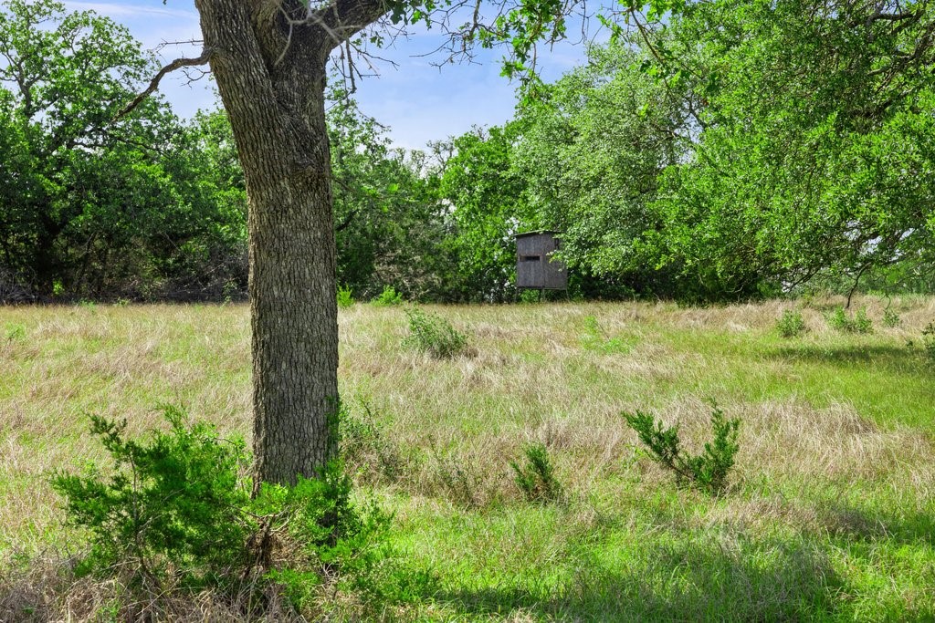 2101 Tower Road Georgetown, TX 78628 - Photo 25 of 38 a view of a yard with a tree