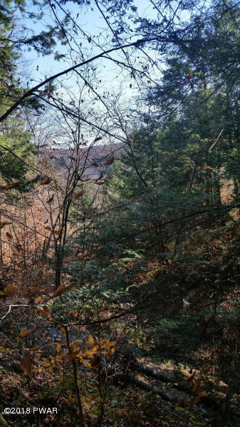 Willoway Road Susquehanna, PA 18847 - Photo 4 of 6