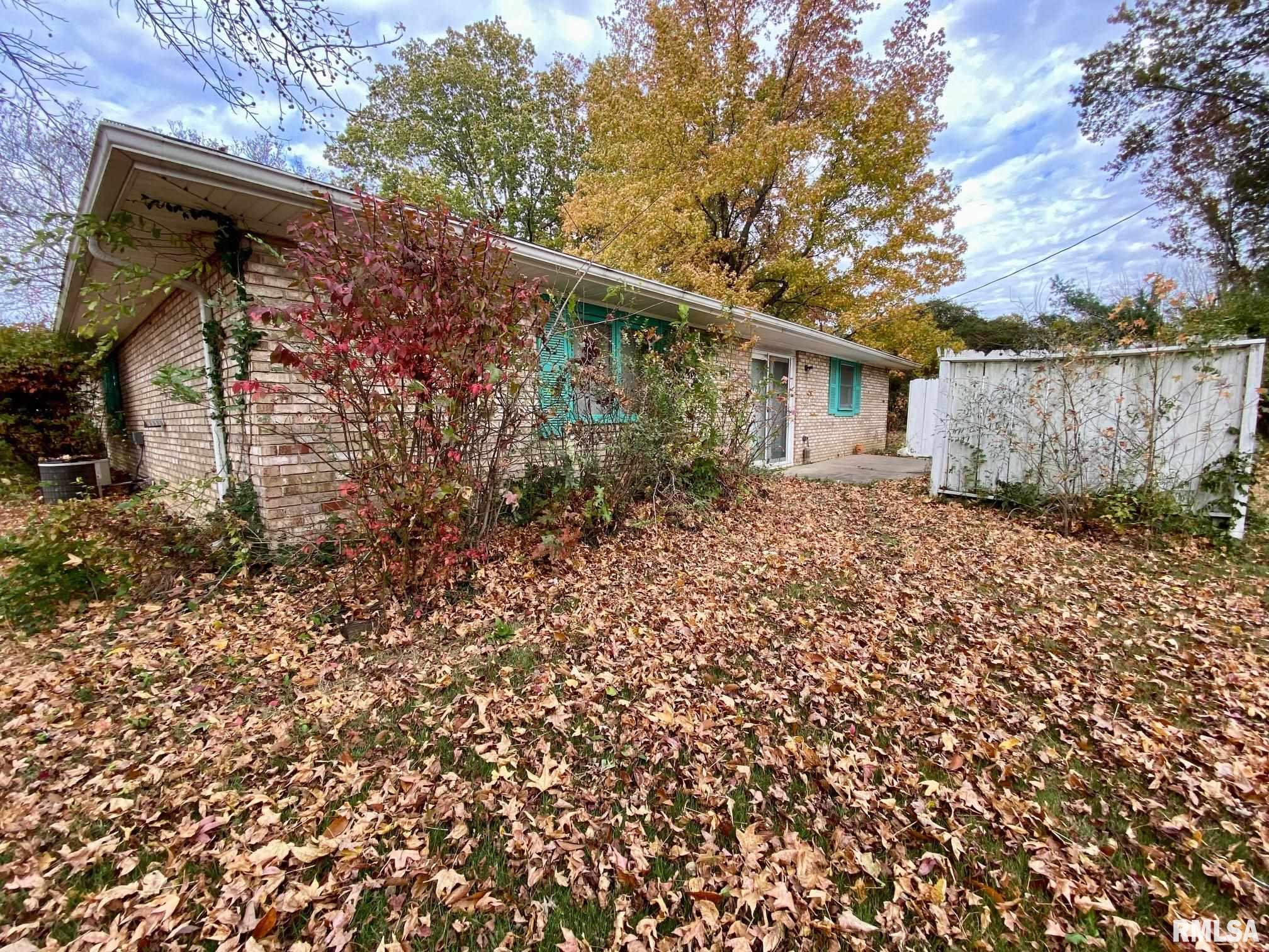 204 East Hamilton Street Energy, IL 62933 - Photo 17 of 17