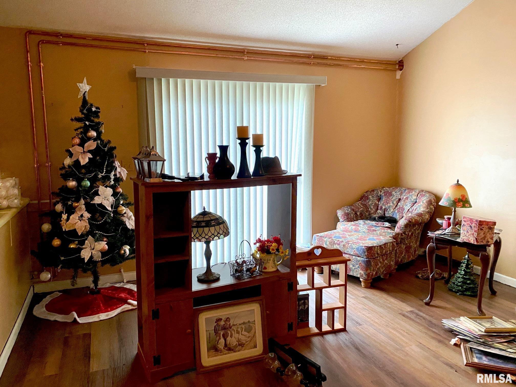 204 East Hamilton Street Energy, IL 62933 - Photo 5 of 17