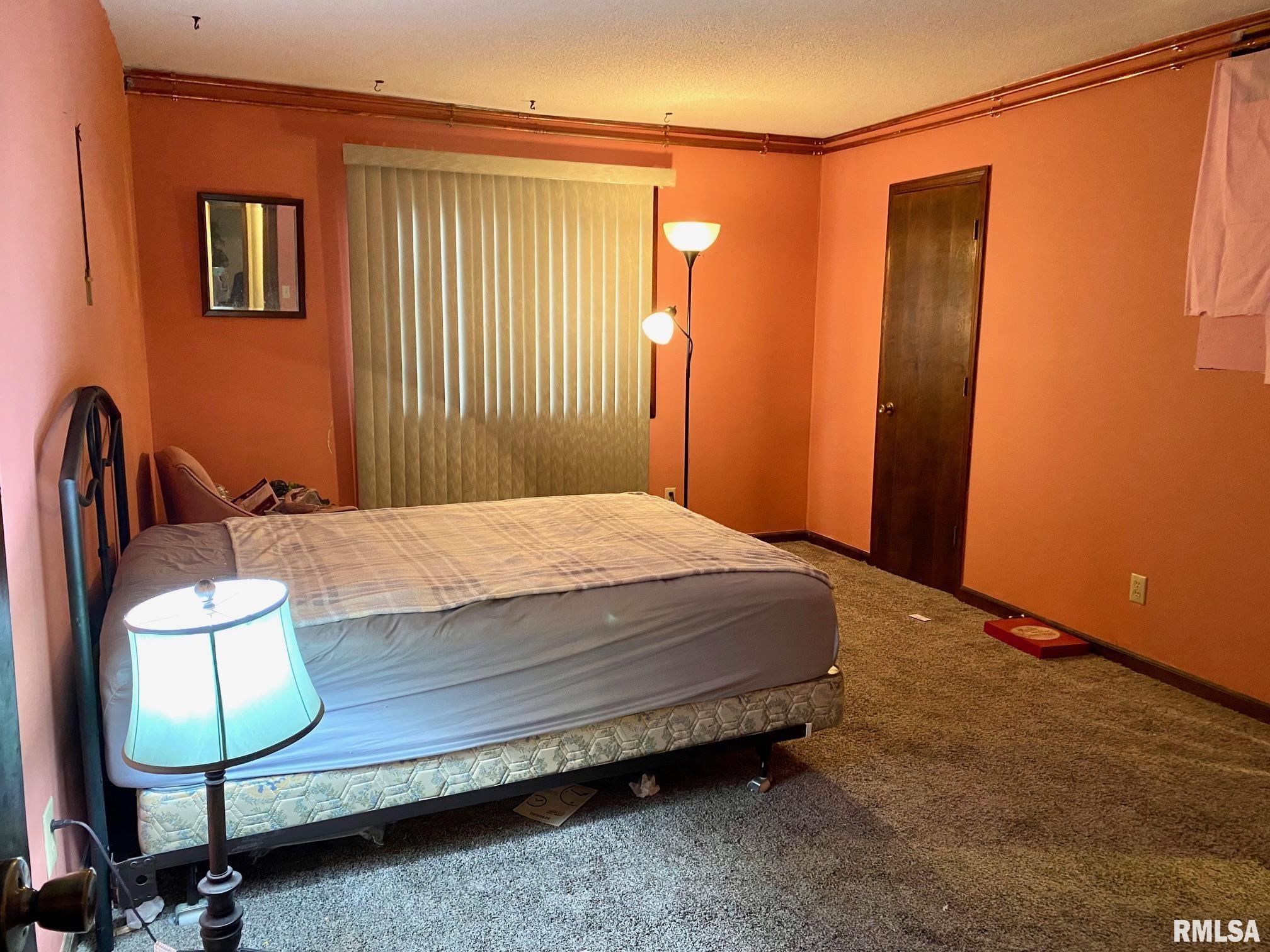 204 East Hamilton Street Energy, IL 62933 - Photo 9 of 17