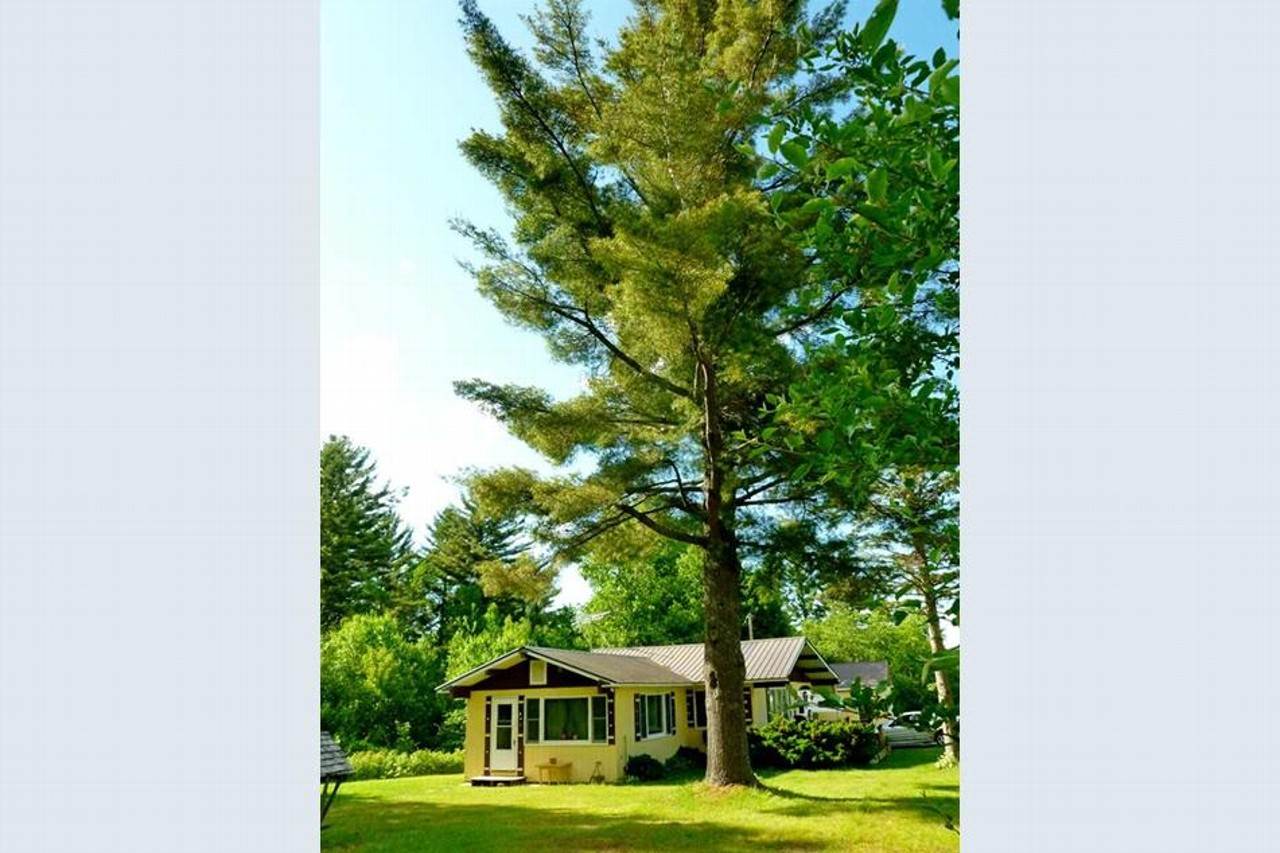 66 Little River Road Carroll, NH 03595 - Photo 2 of 20 Gallery Image 2