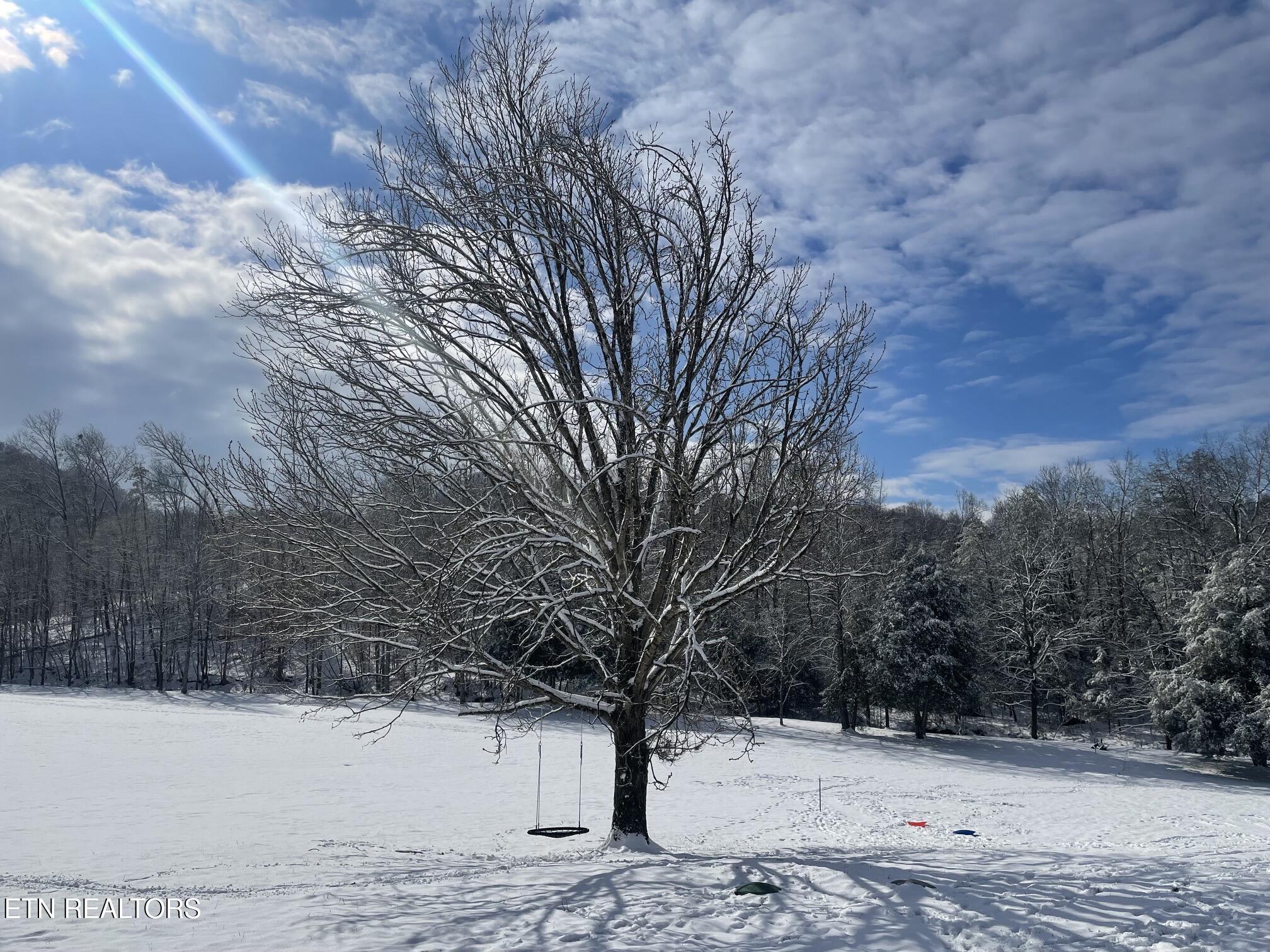 286 JD Farm Road Tellico Plains, TN 37385 - Photo 56 of 58 PEACEFUL WINTER AT JD FARMS