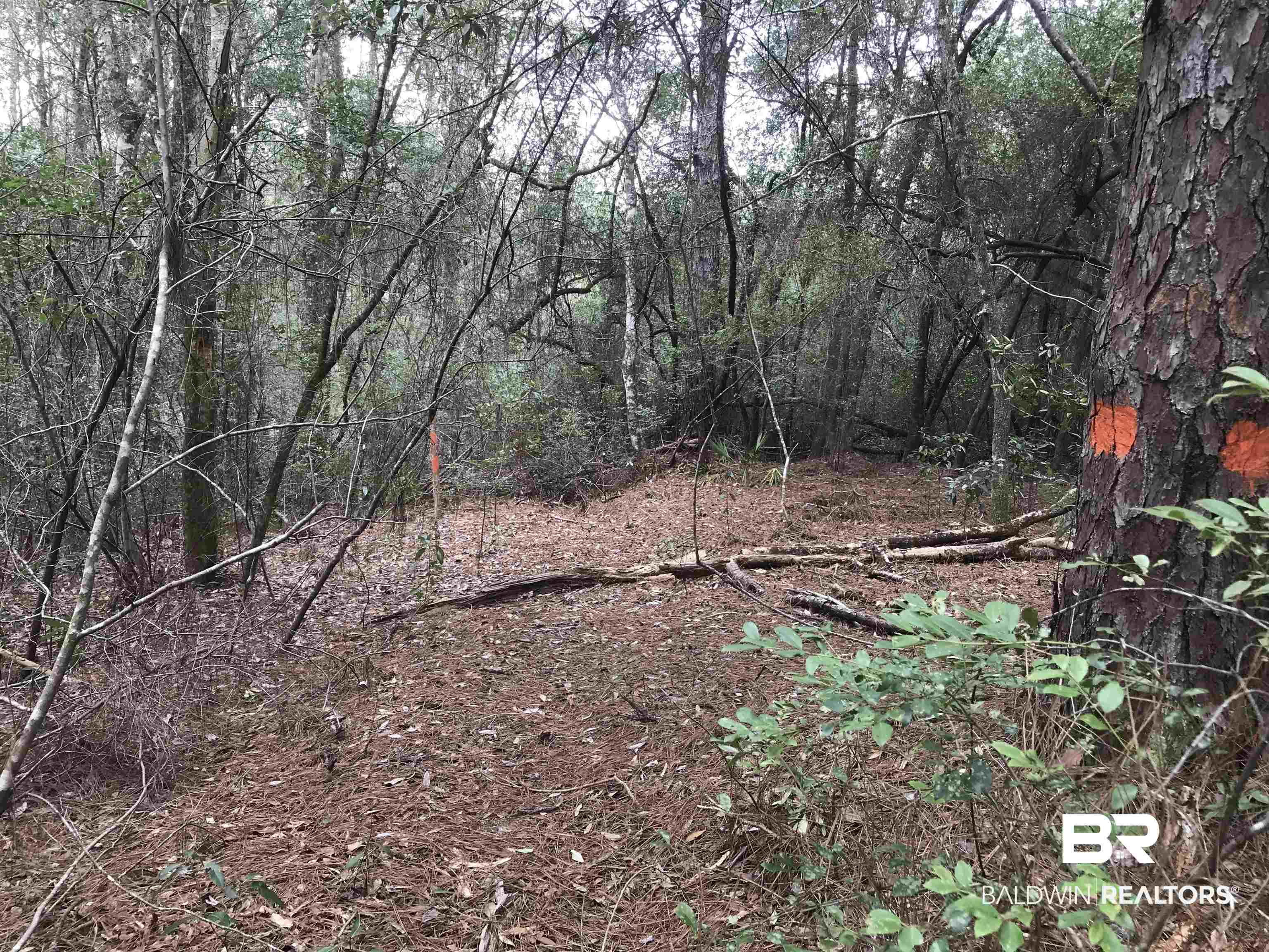 0 Lambert Cemetery Road Citronelle, AL 36522 - Photo 4 of 4