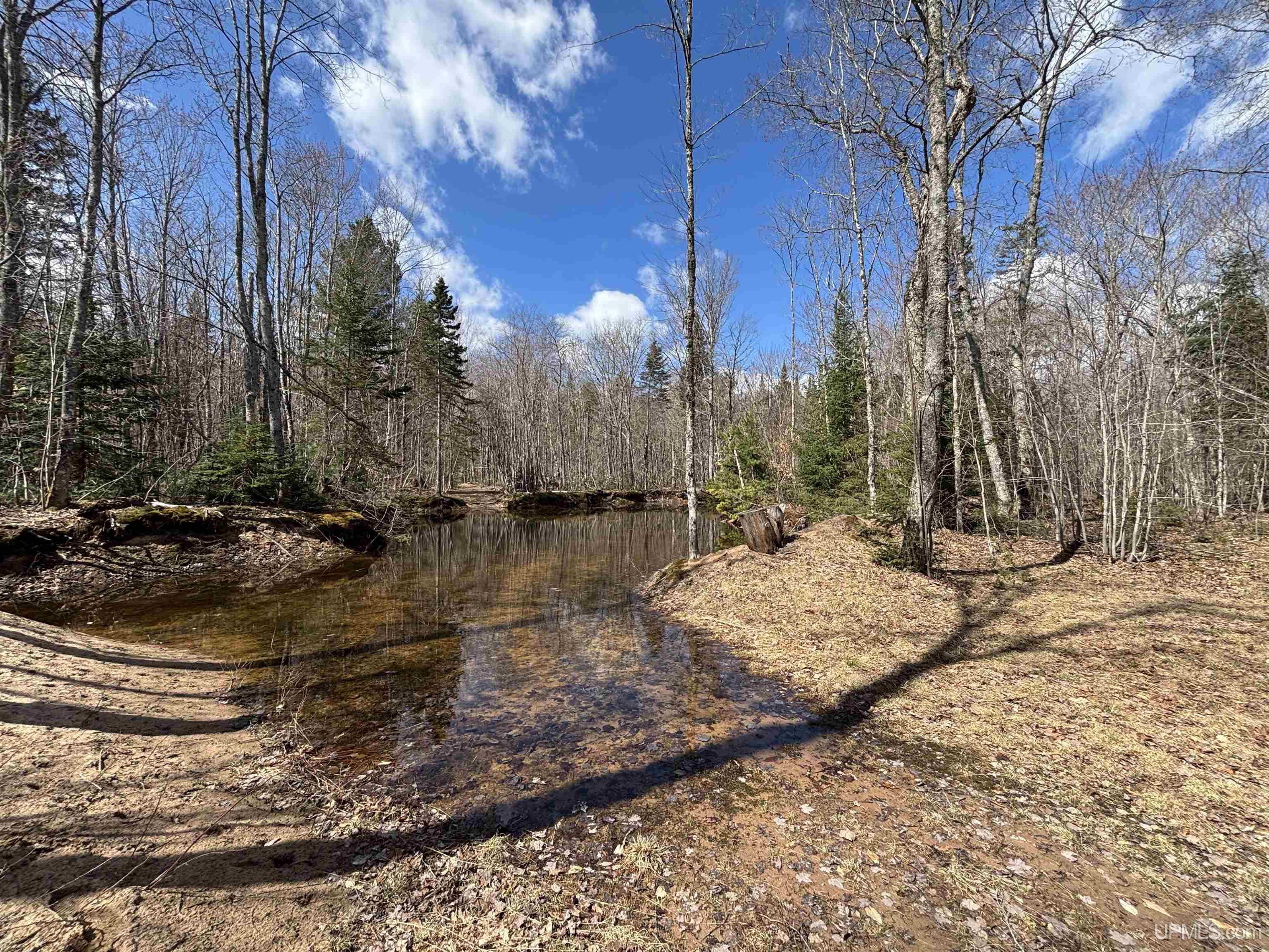 11445 Chesbrough Lake Road Newberry, MI 49868 - Photo 58 of 75