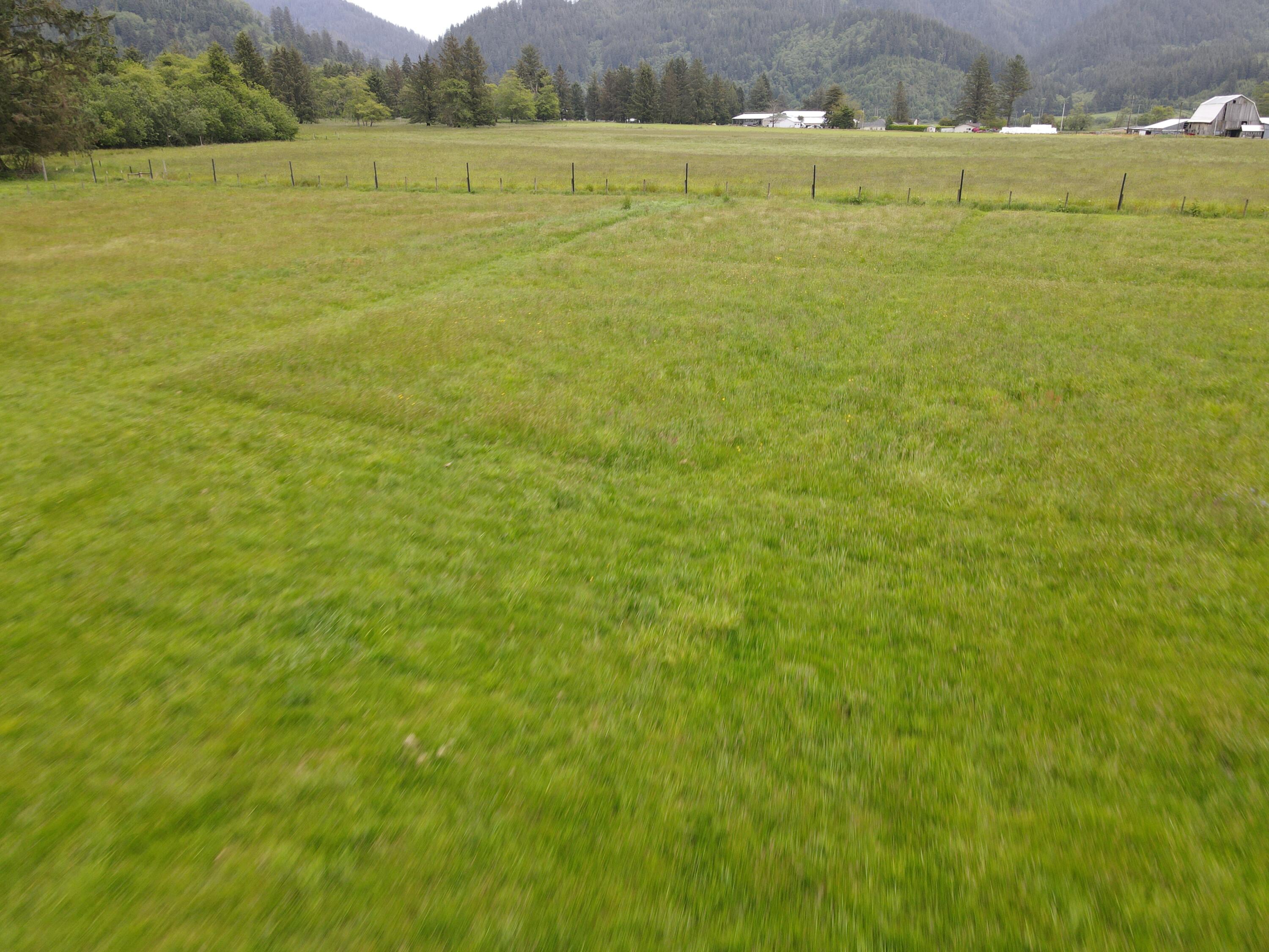 2902 Alderbrook Road Tillamook, OR 97141 - Photo 15 of 26 DJI_0534