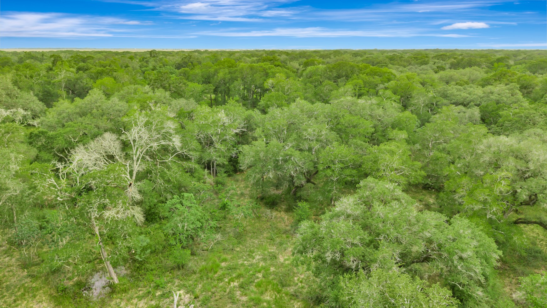 4600 Fm 1862 Road Palacios, TX 77465 - Photo 20 of 43