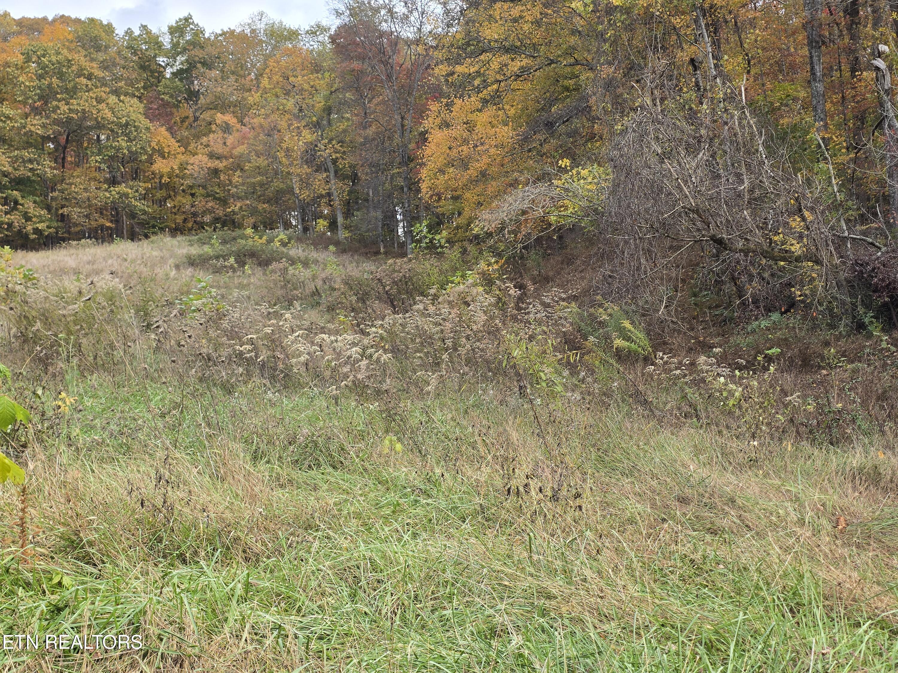 227 Elihu Road Sneedville, TN 37869 - Photo 11 of 30 20251101_142808