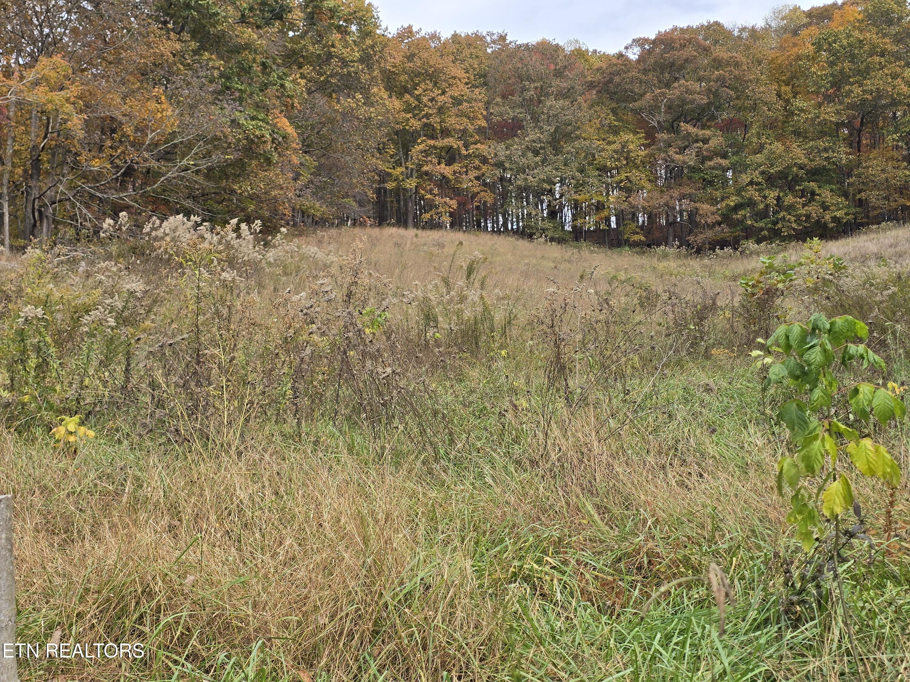 227 Elihu Road Sneedville, TN 37869 - Photo 12 of 30 20251101_142803