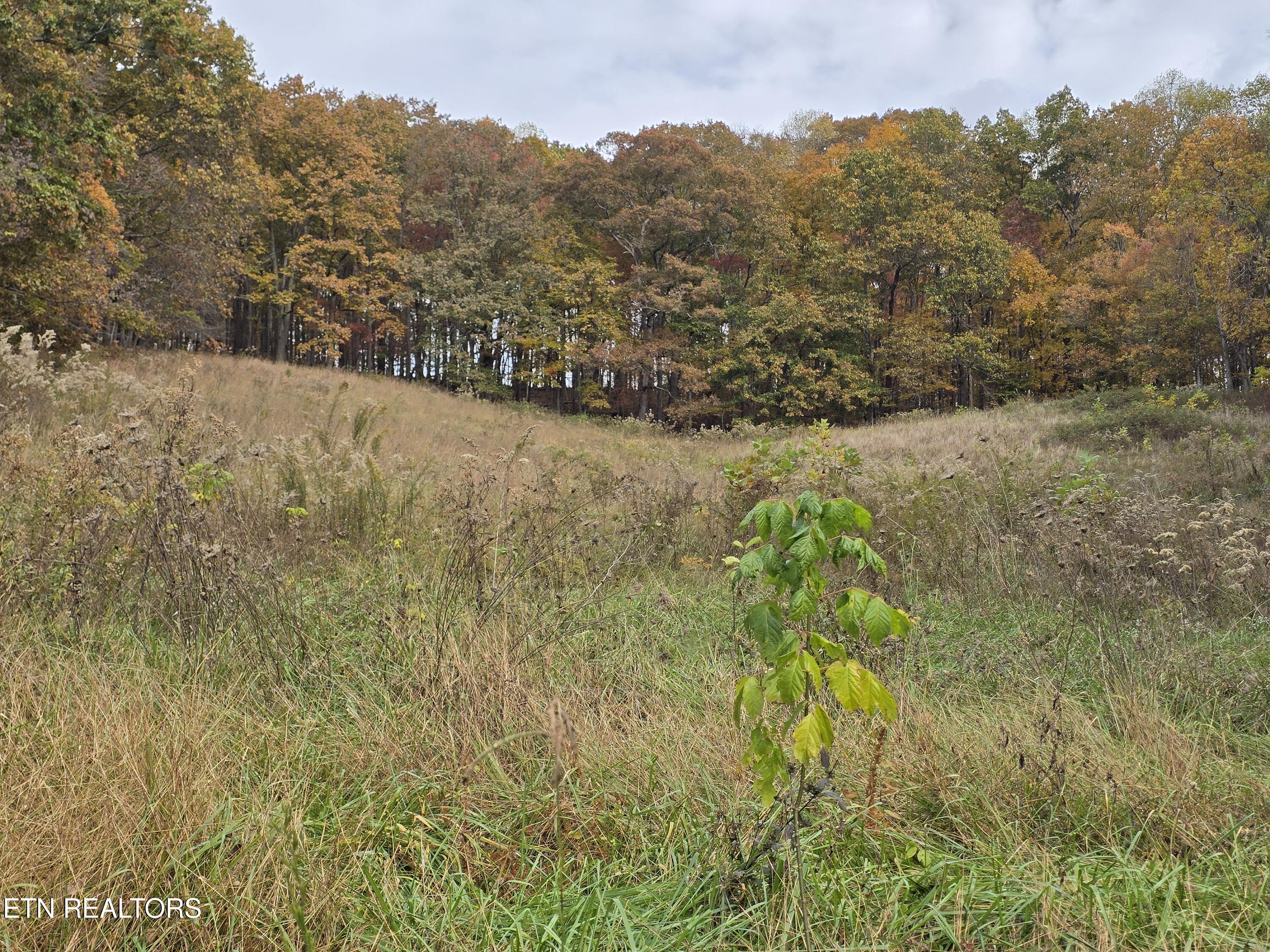 227 Elihu Road Sneedville, TN 37869 - Photo 13 of 30 20251101_142749