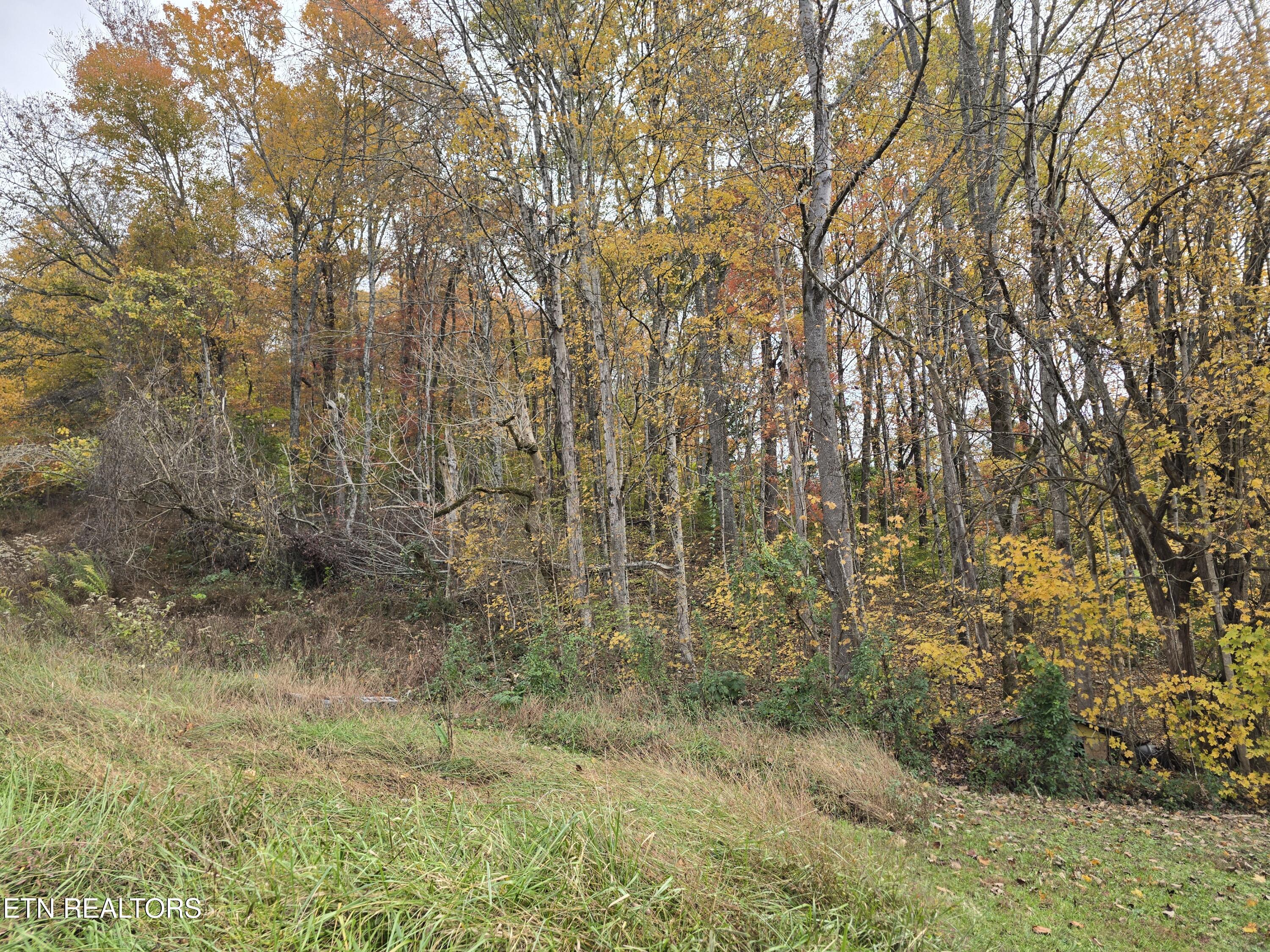 227 Elihu Road Sneedville, TN 37869 - Photo 15 of 30 20251101_142818