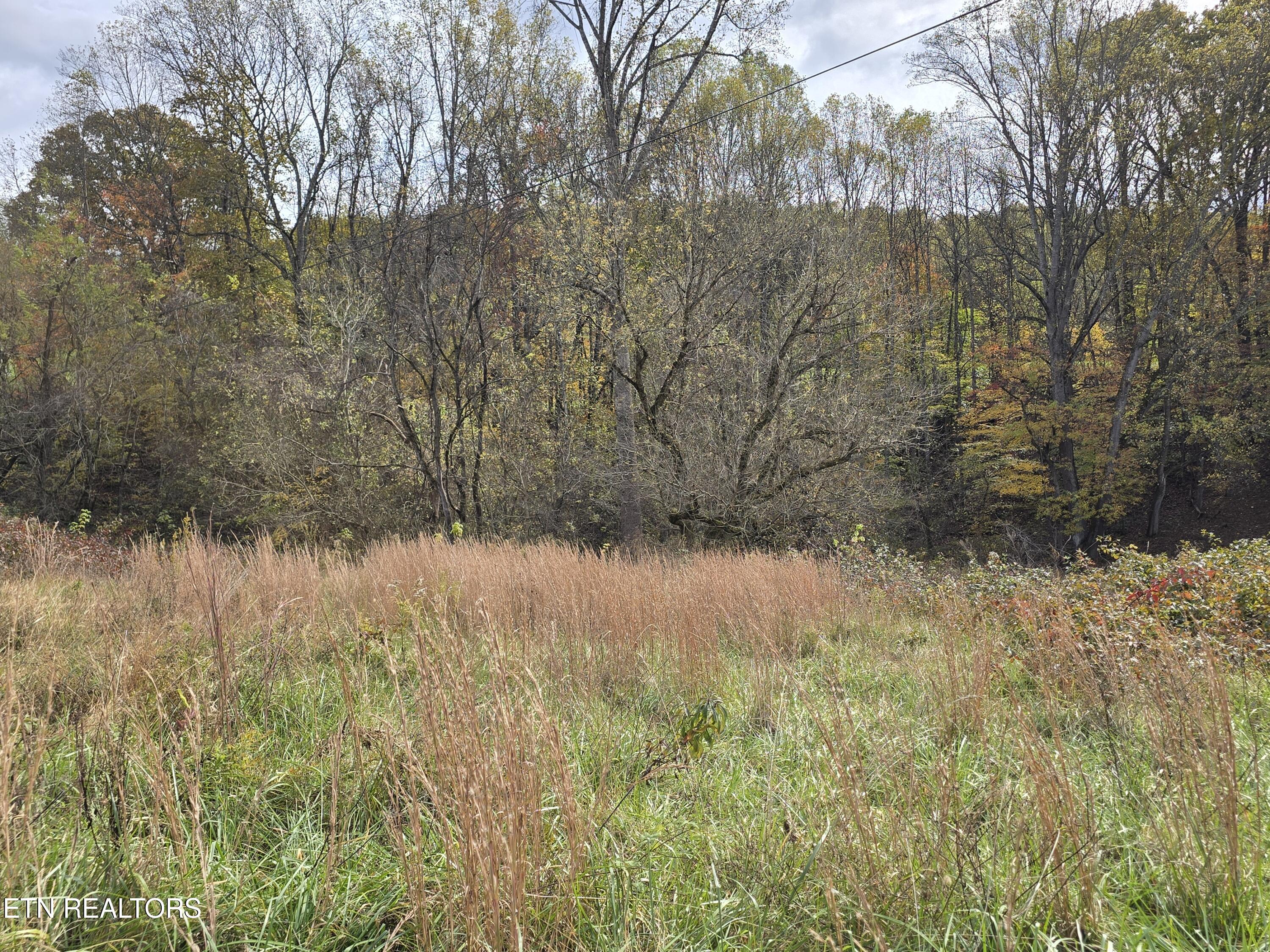 227 Elihu Road Sneedville, TN 37869 - Photo 22 of 30 20251101_144314