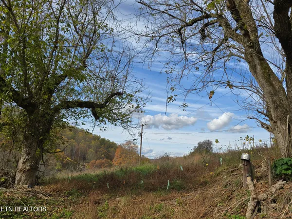 $100,000 | 227 Elihu Road, Sneedville, TN 37869