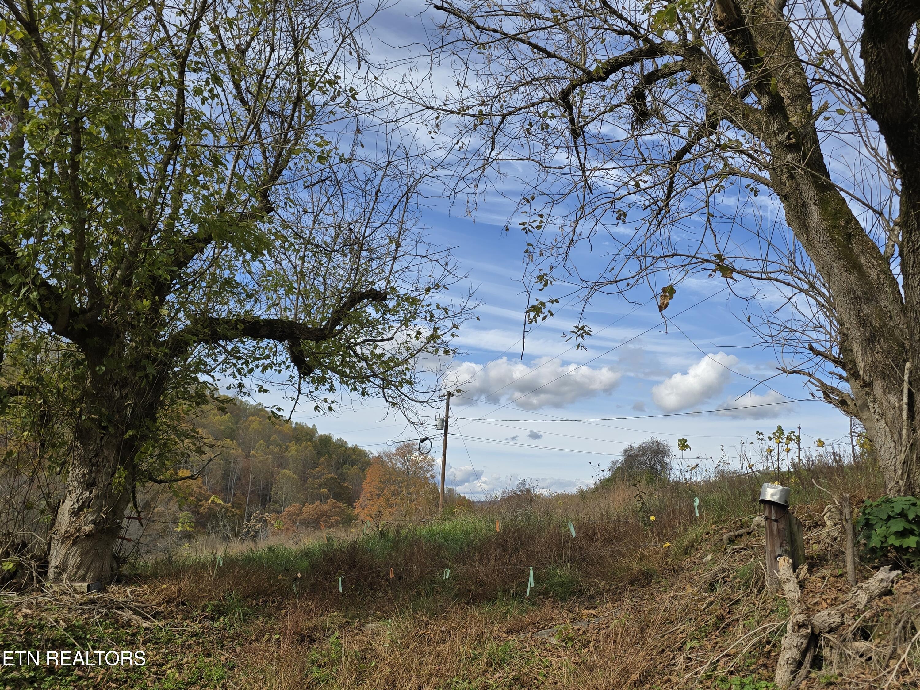 227 Elihu Road Sneedville, TN 37869 - Photo 3 of 30 20251101_144250
