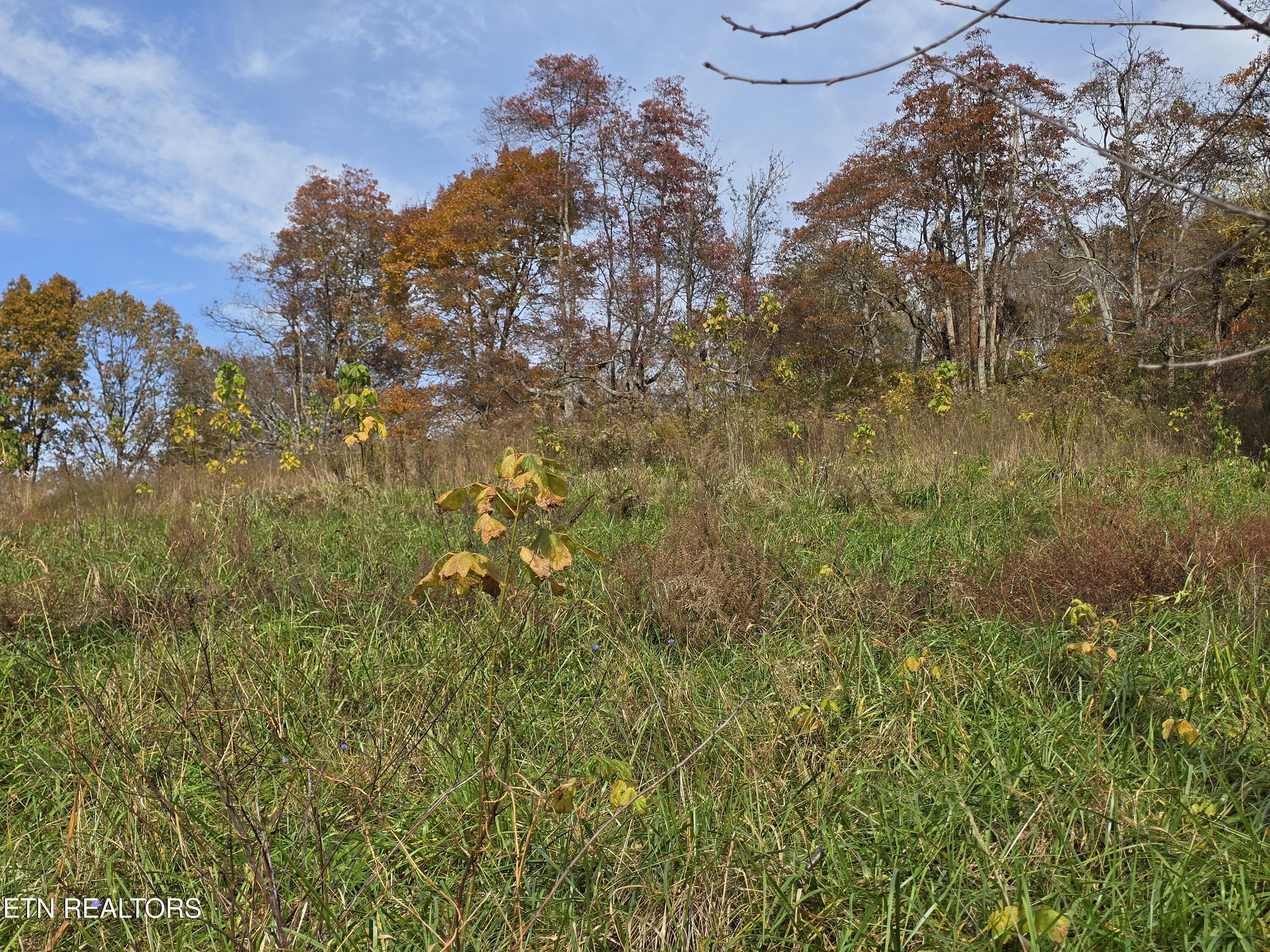 227 Elihu Road Sneedville, TN 37869 - Photo 7 of 30 20251101_143444