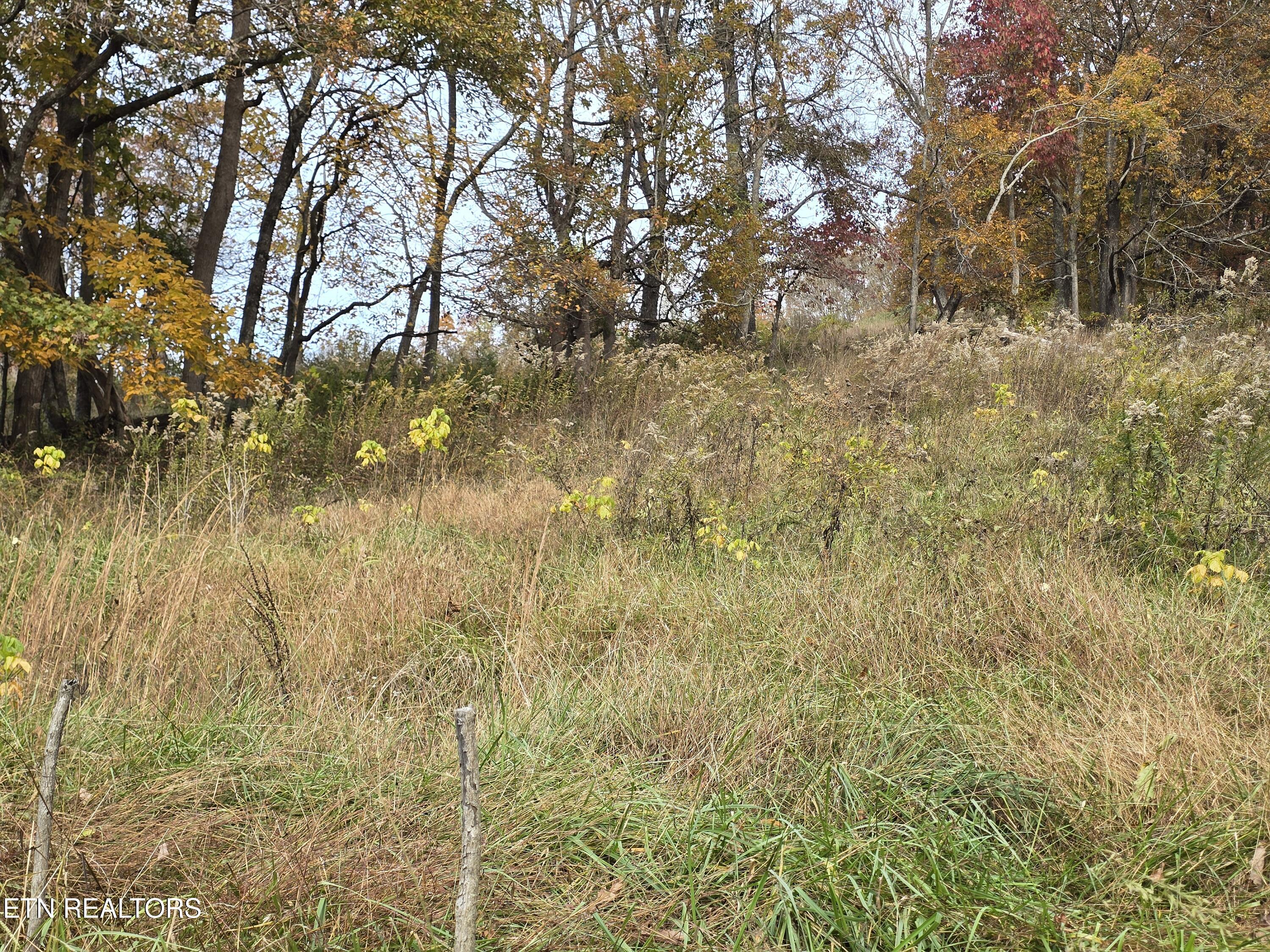 227 Elihu Road Sneedville, TN 37869 - Photo 8 of 30 20251101_142759