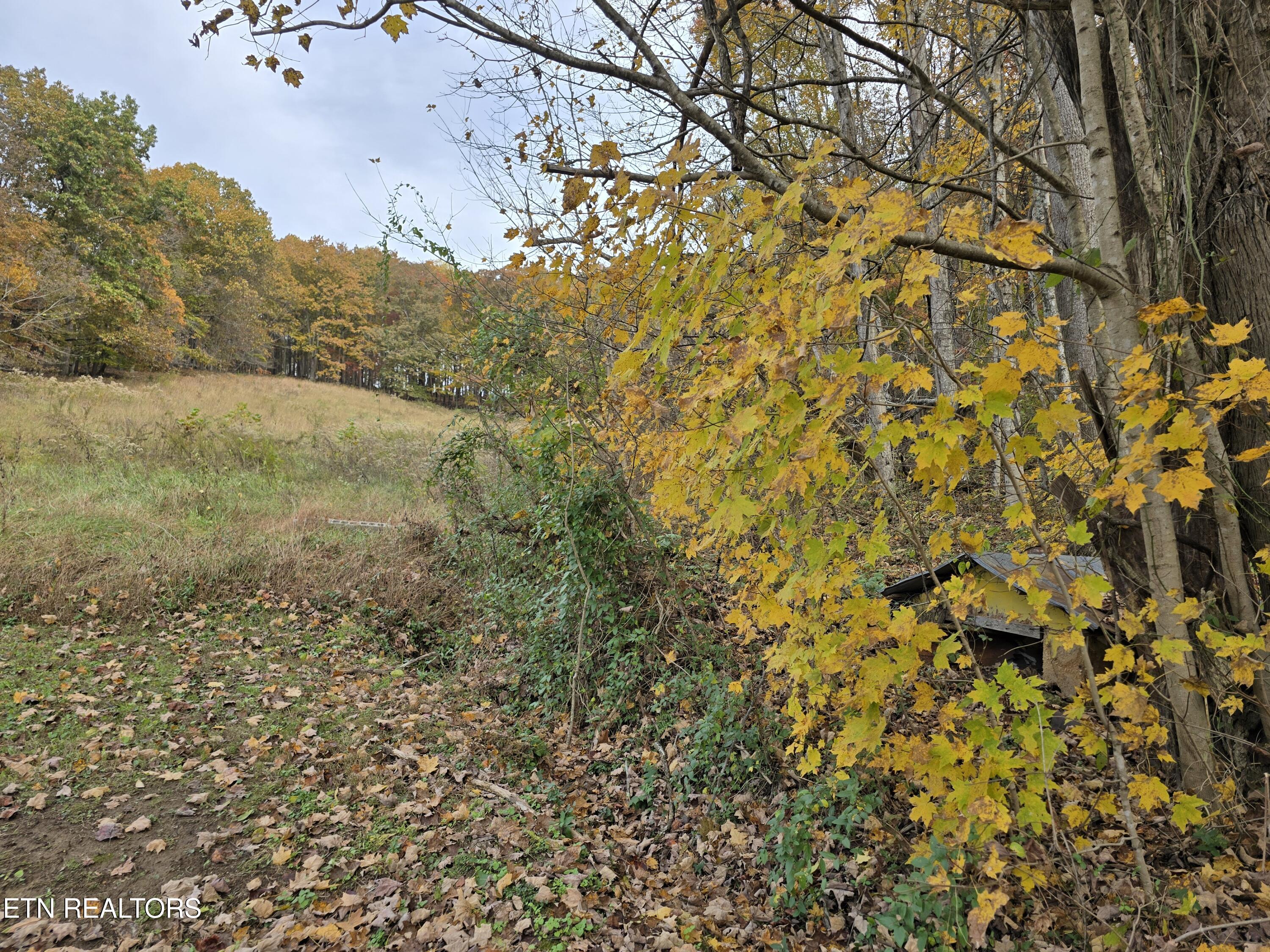 227 Elihu Road Sneedville, TN 37869 - Photo 9 of 30 20251101_142943