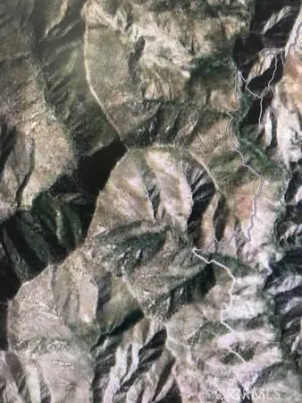a view of a tree