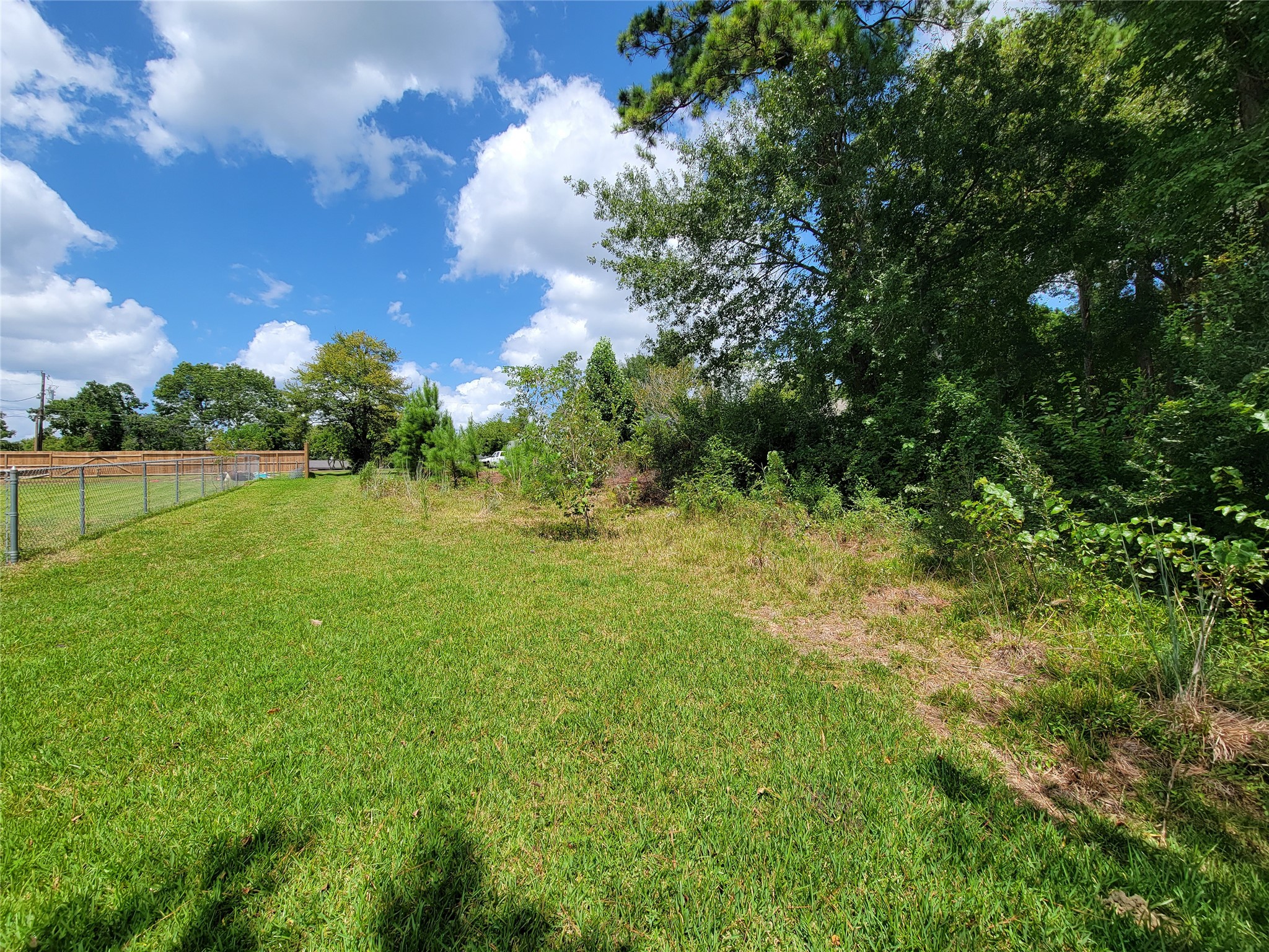 0 Tri Lakes Road Montgomery, TX 77316 - Photo 11 of 20 View from Back of lot