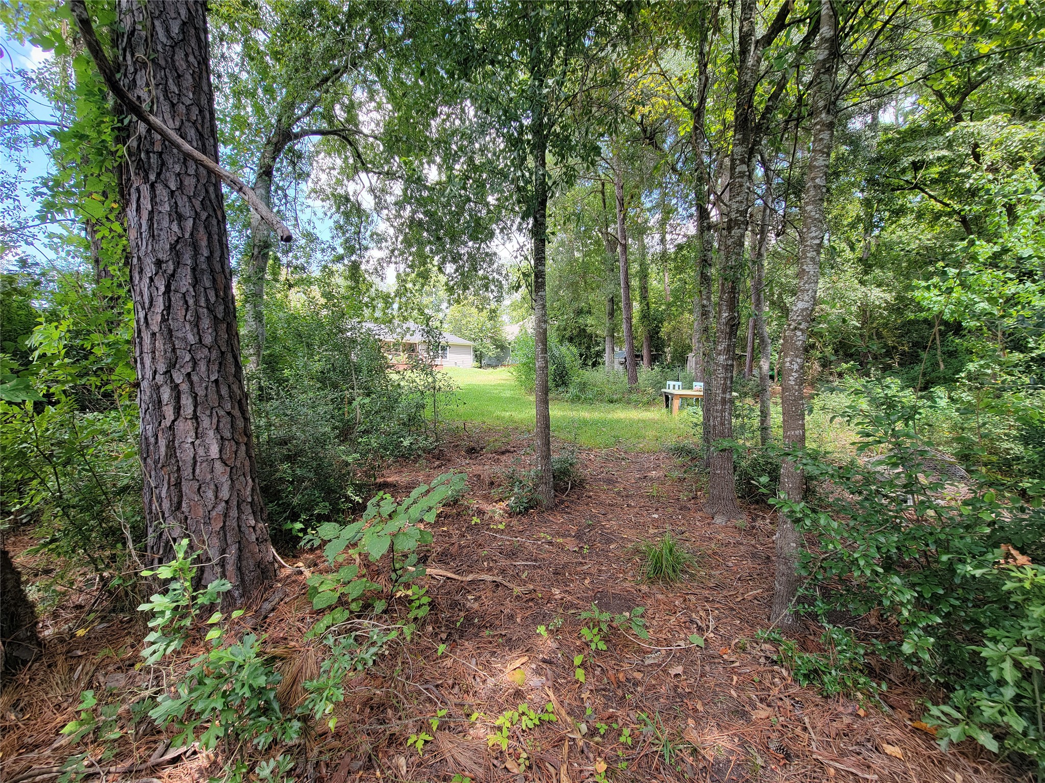 0 Tri Lakes Road Montgomery, TX 77316 - Photo 13 of 20