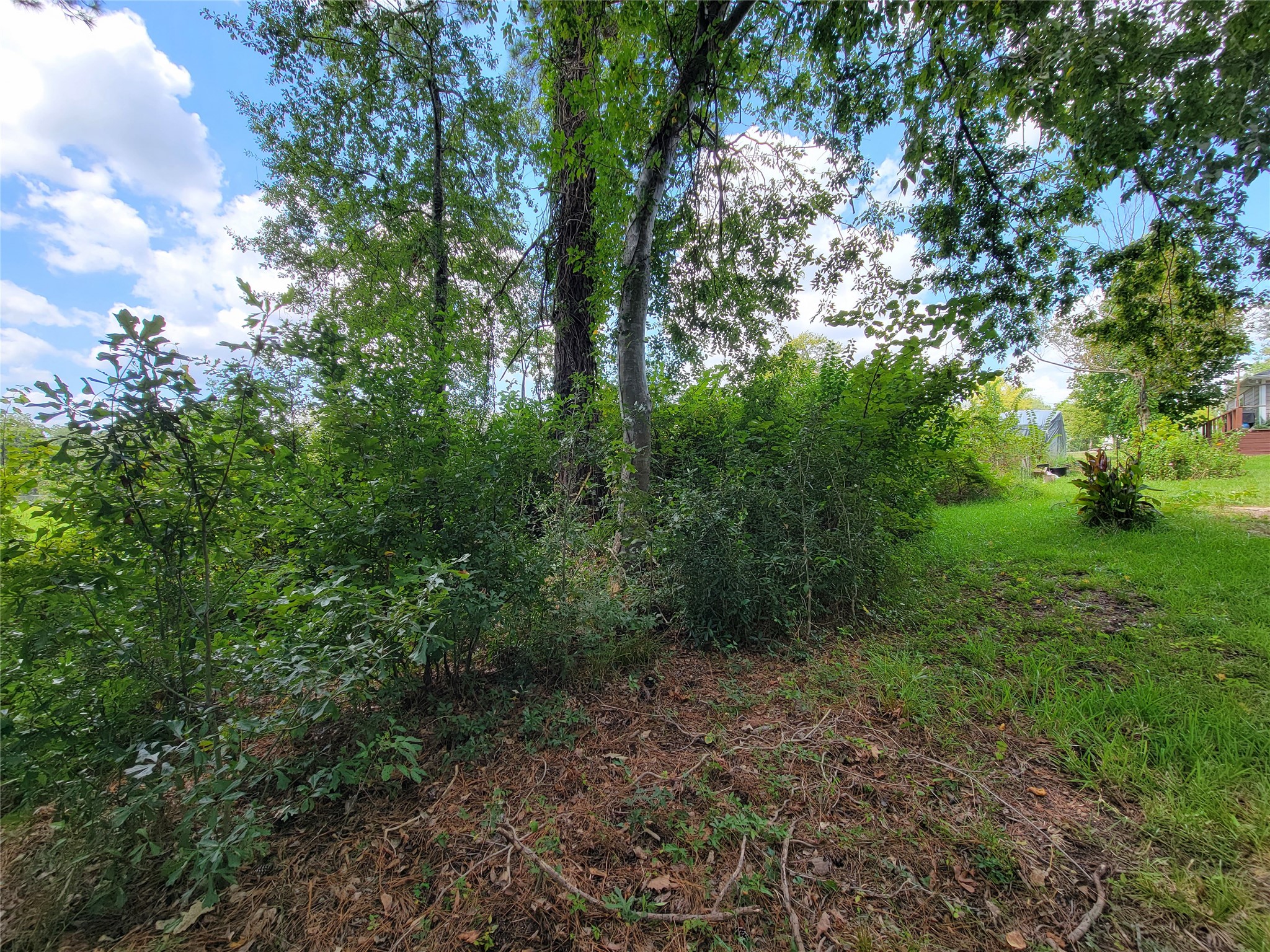 0 Tri Lakes Road Montgomery, TX 77316 - Photo 14 of 20