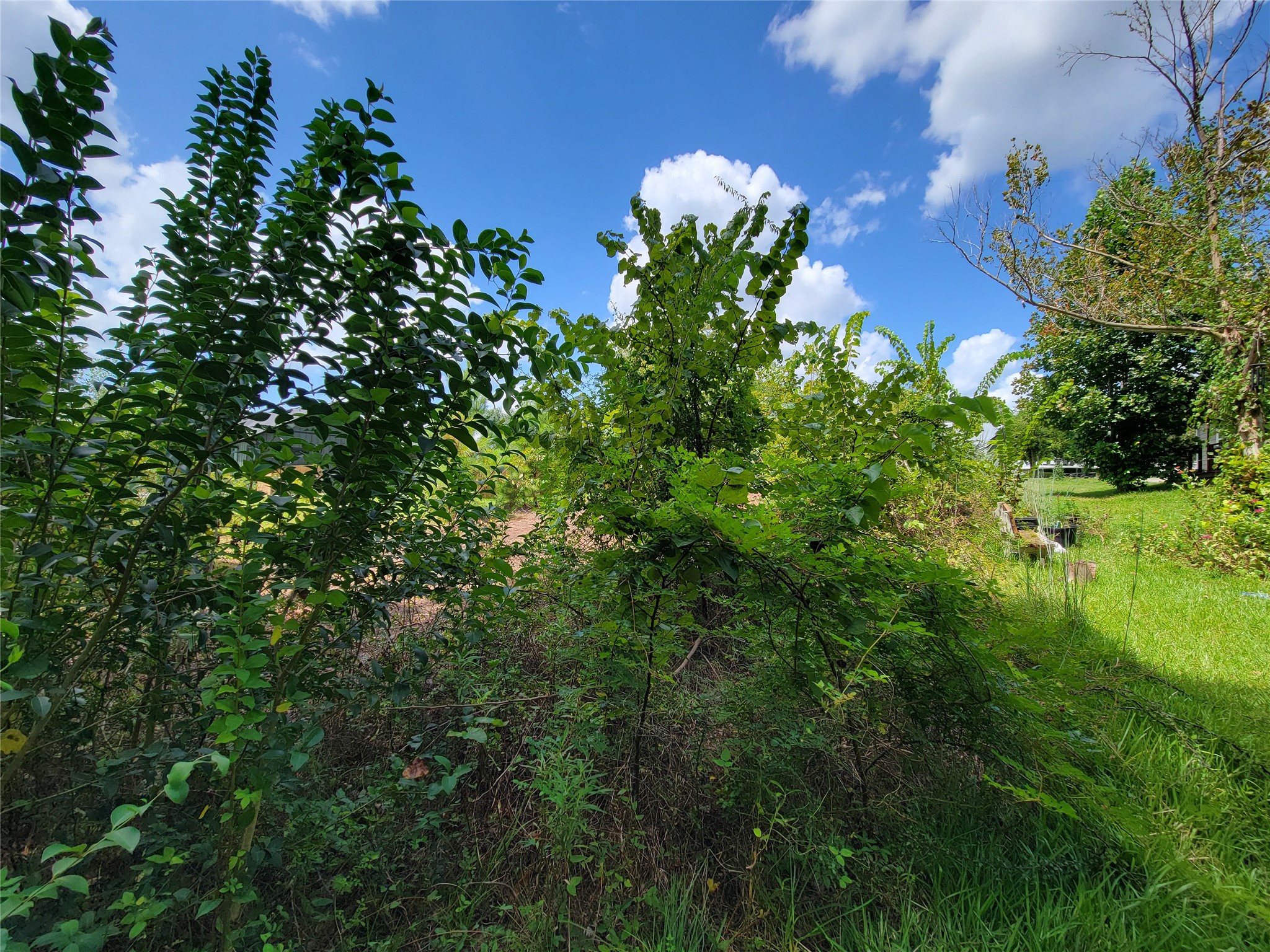0 Tri Lakes Road Montgomery, TX 77316 - Photo 15 of 20