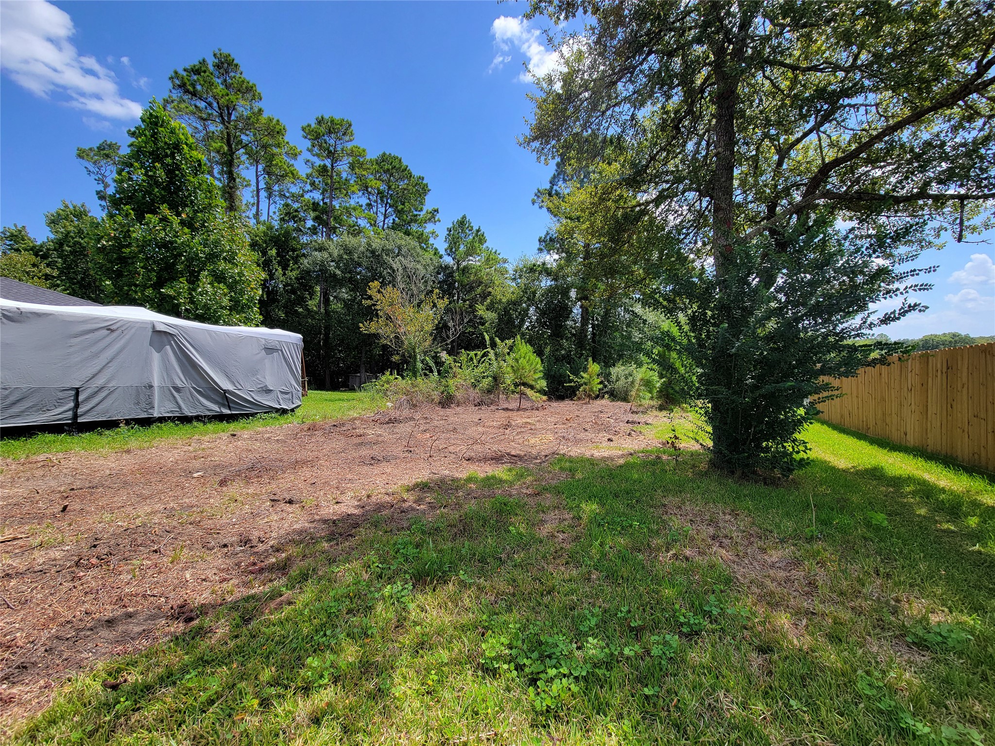 0 Tri Lakes Road Montgomery, TX 77316 - Photo 4 of 20