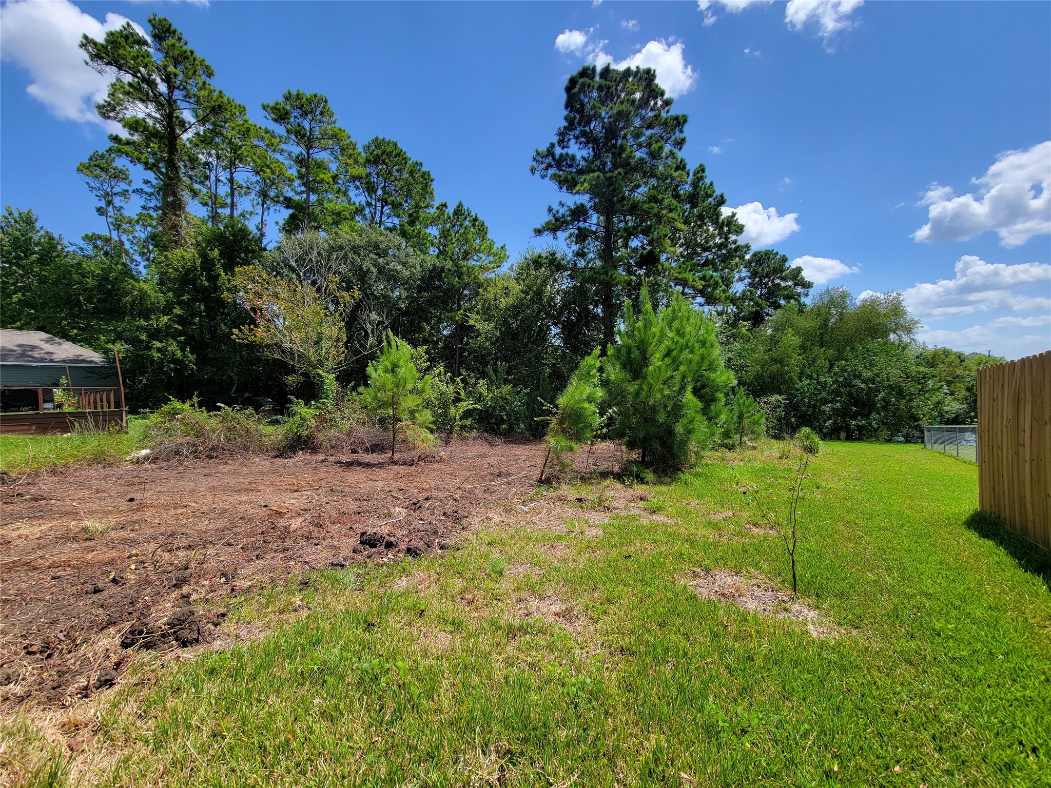 0 Tri Lakes Road Montgomery, TX 77316 - Photo 5 of 20